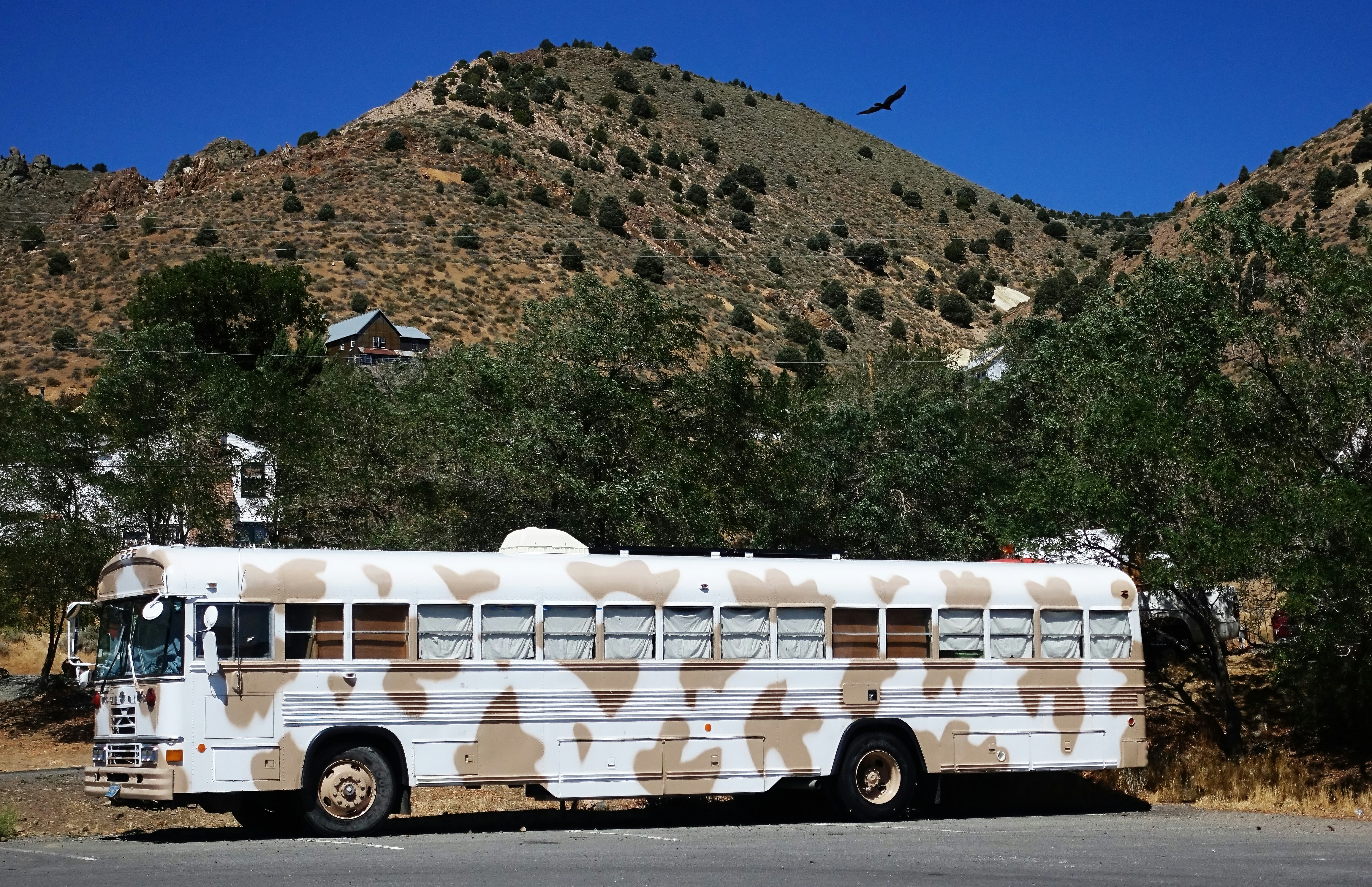 Converted buses