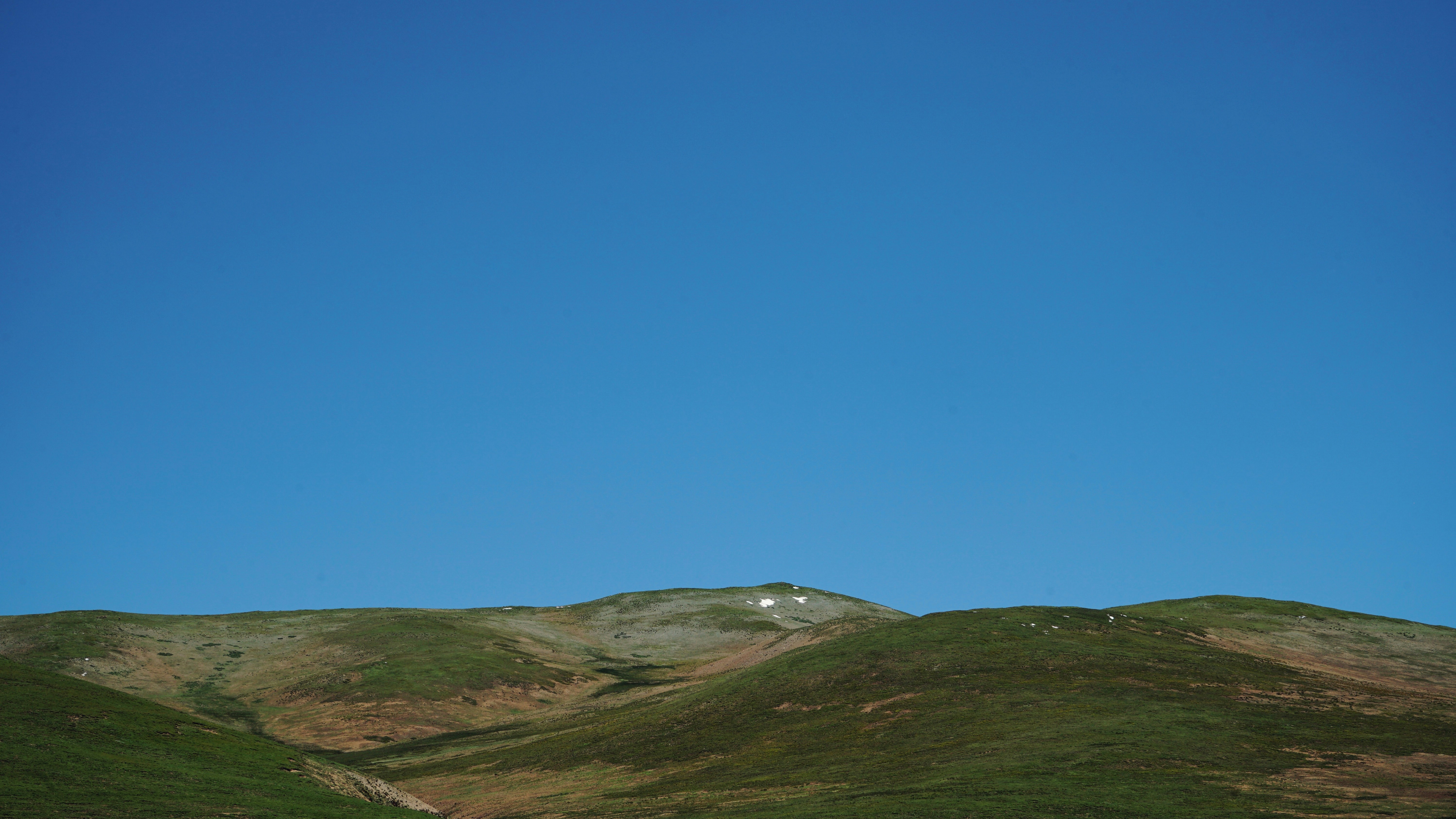 Photo by judahwester