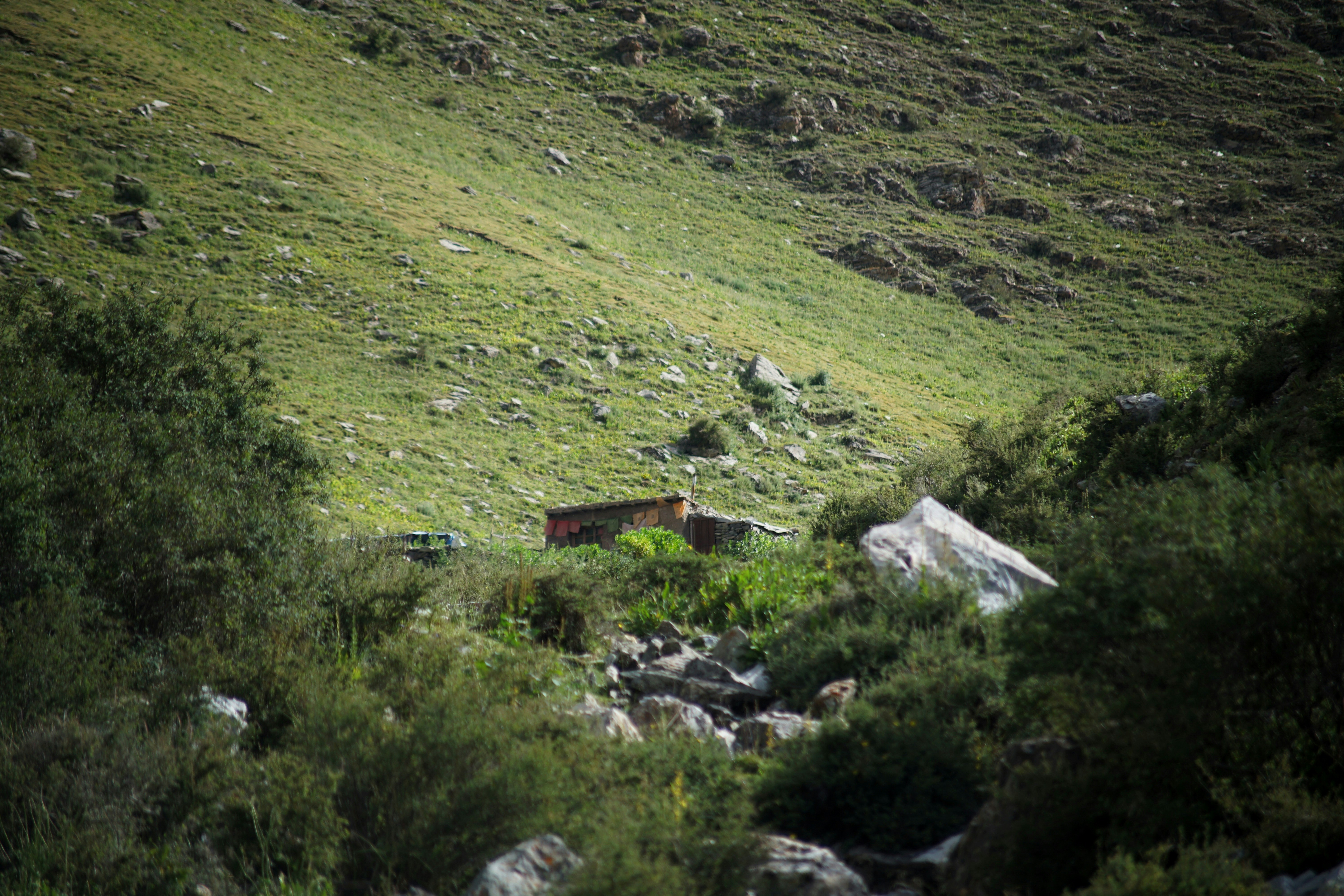 a house in a grassy area