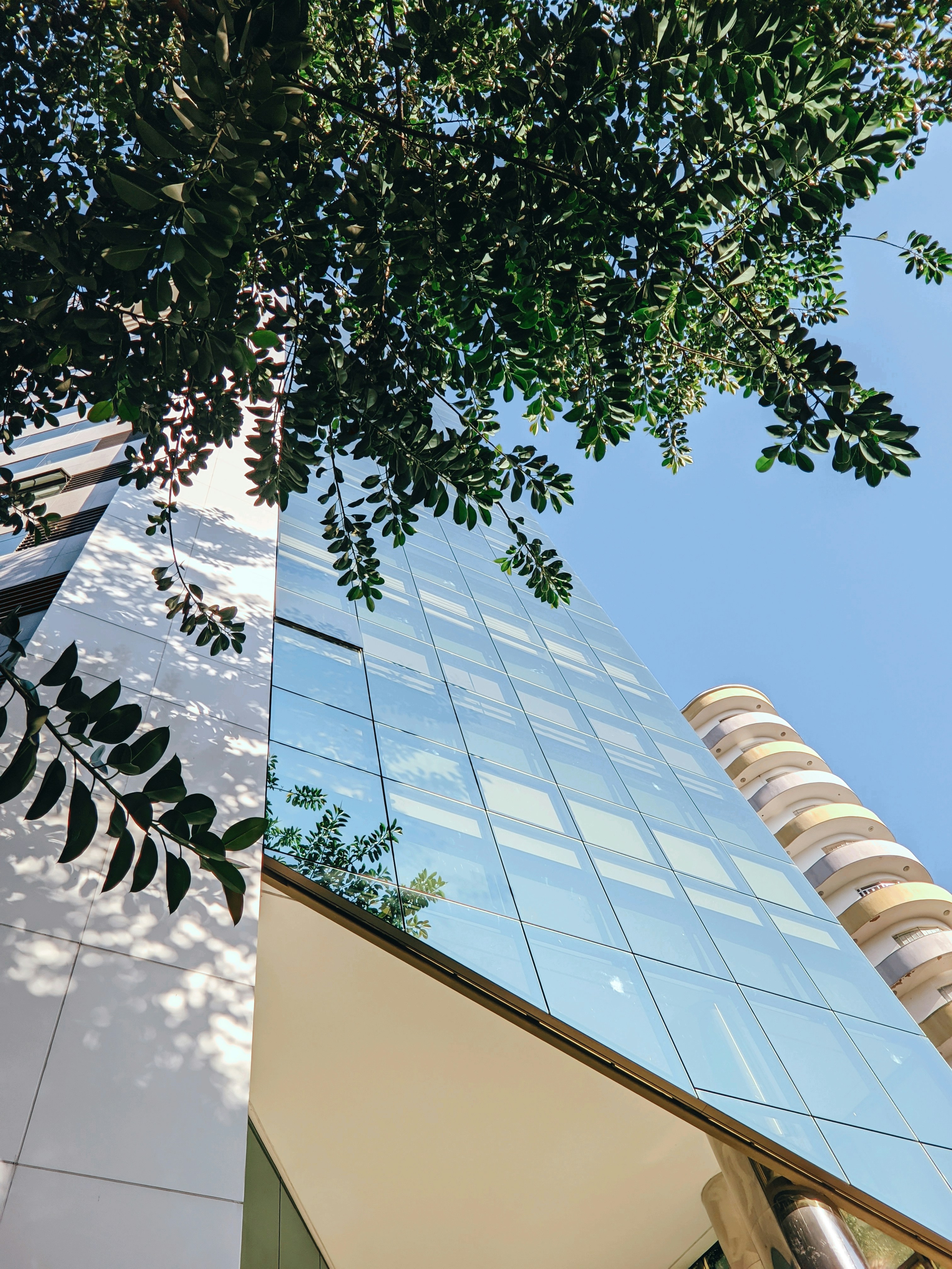 Photo by claitonconto