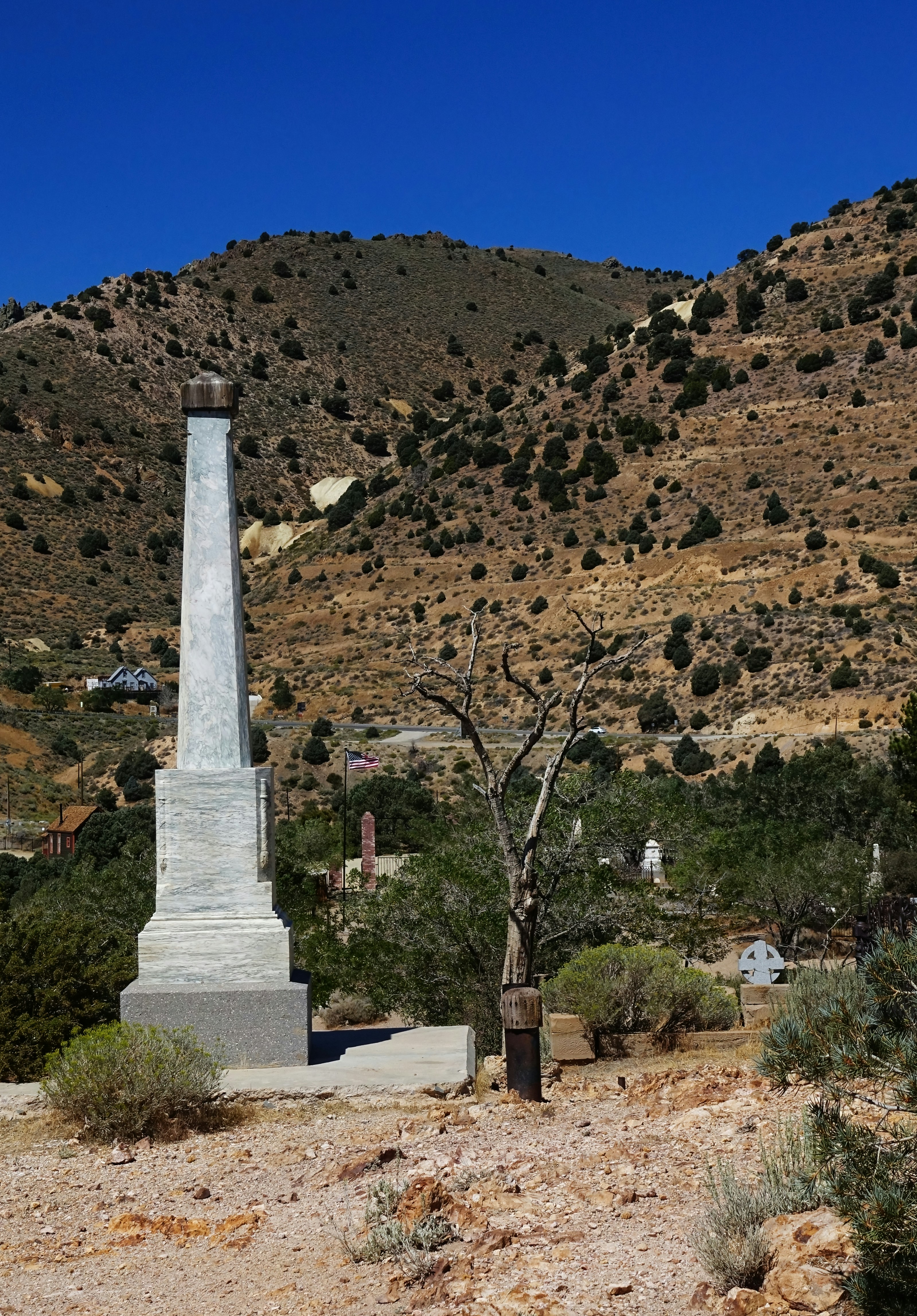 Photo by bullterriere