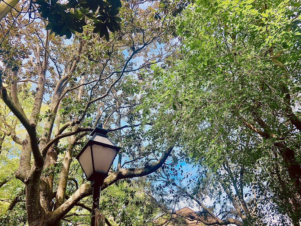 a lamp post with trees in the background