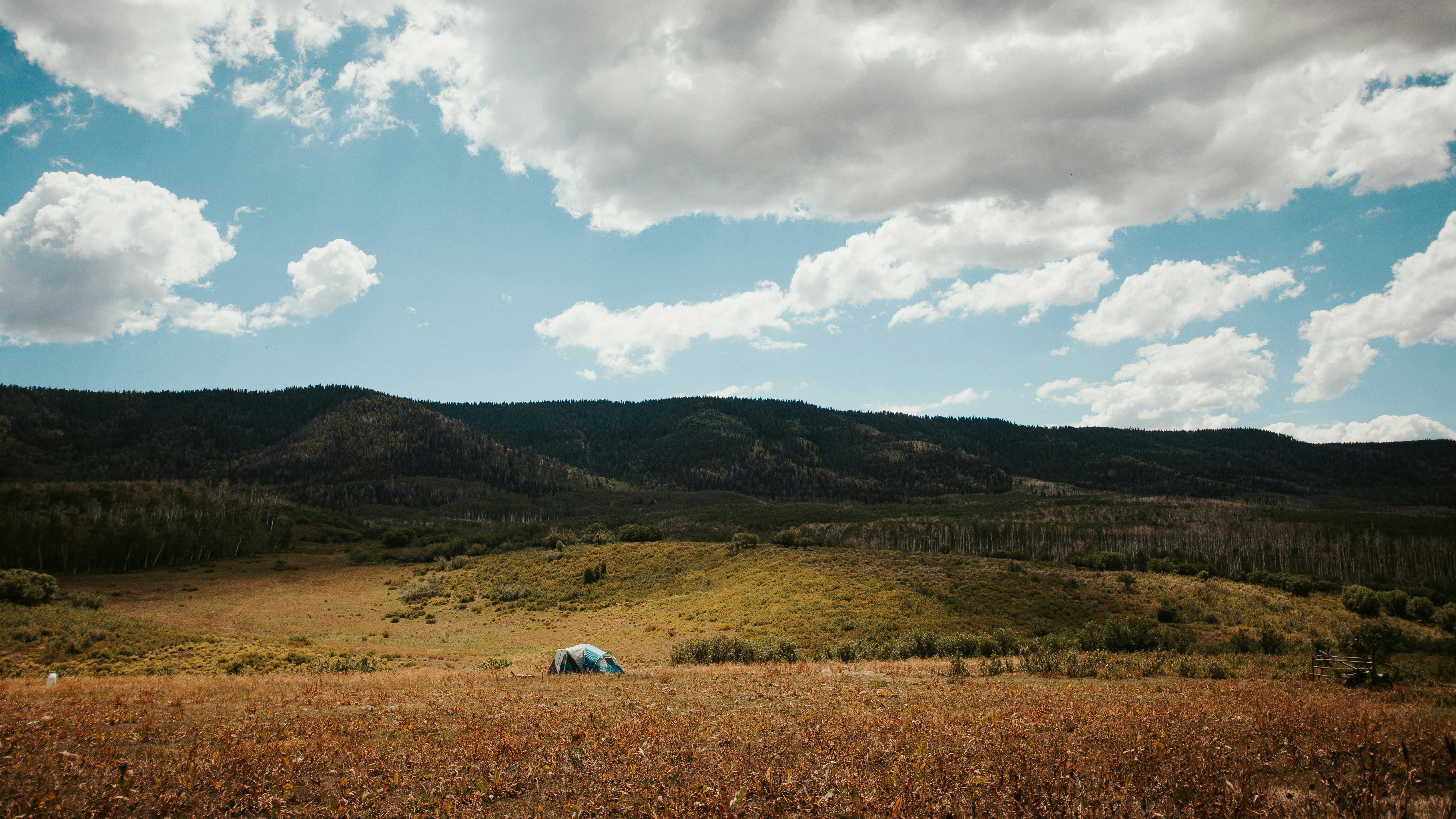 Photo by photosoflogan