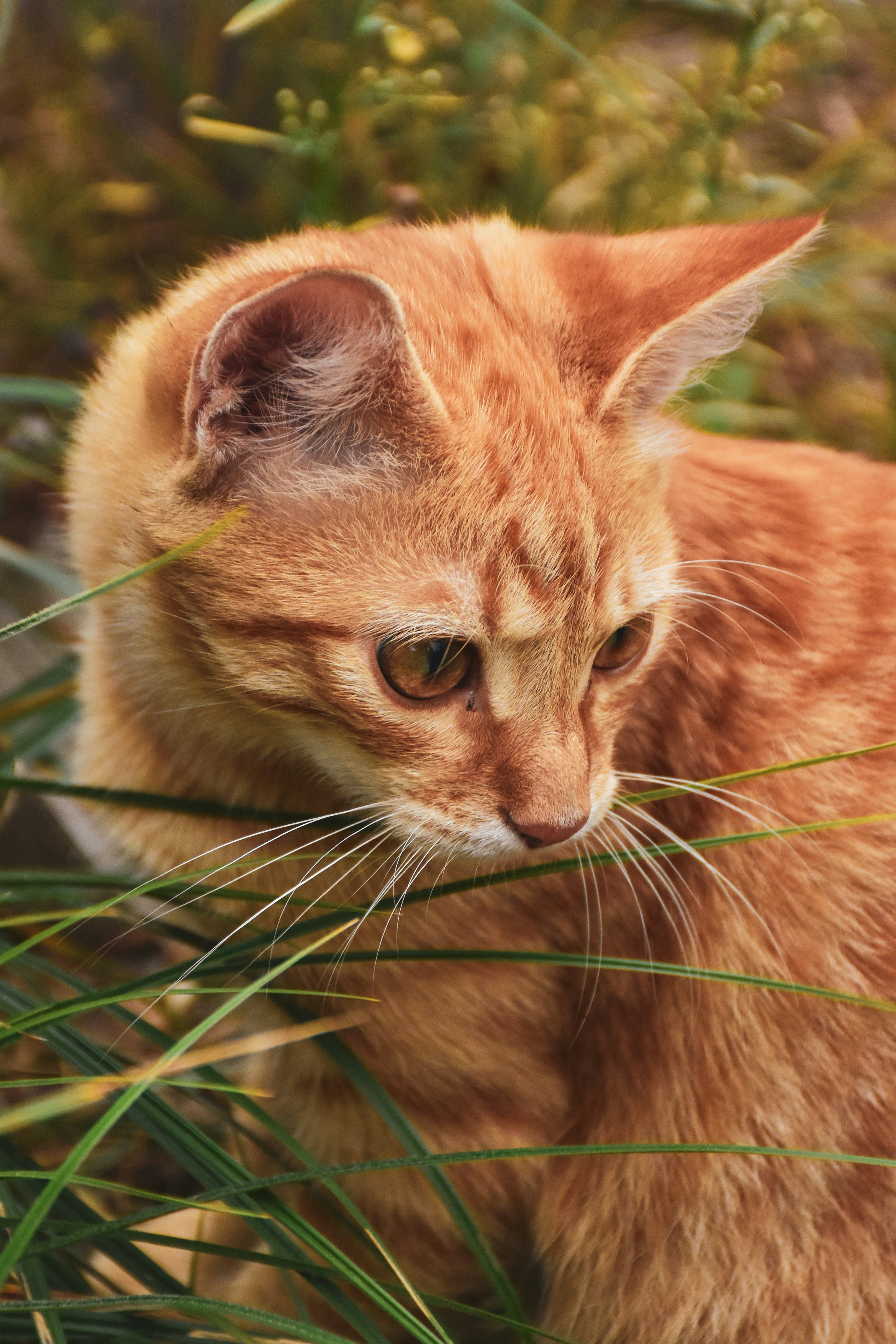 Photo by artem_makarov