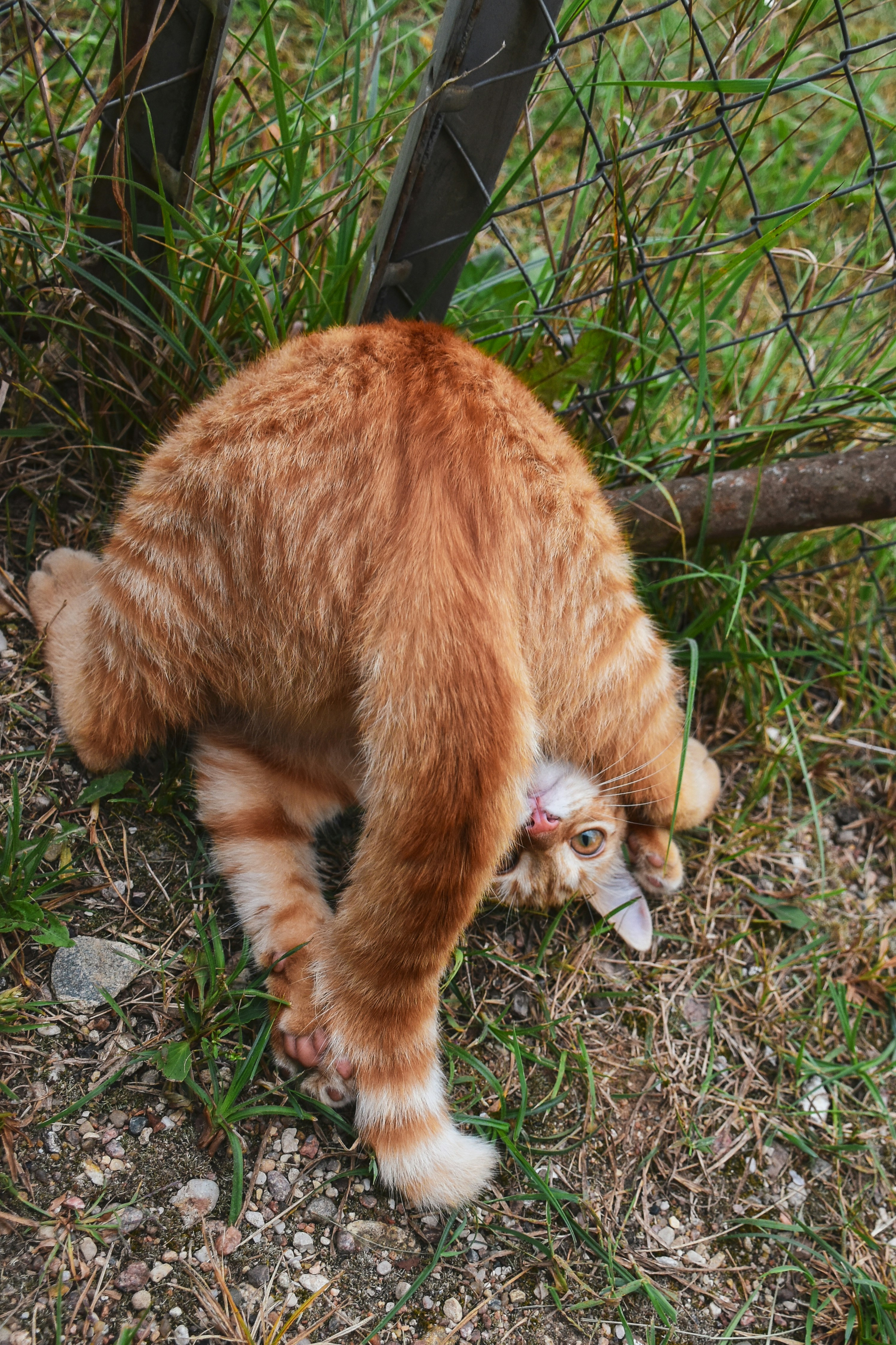 Photo by artem_makarov