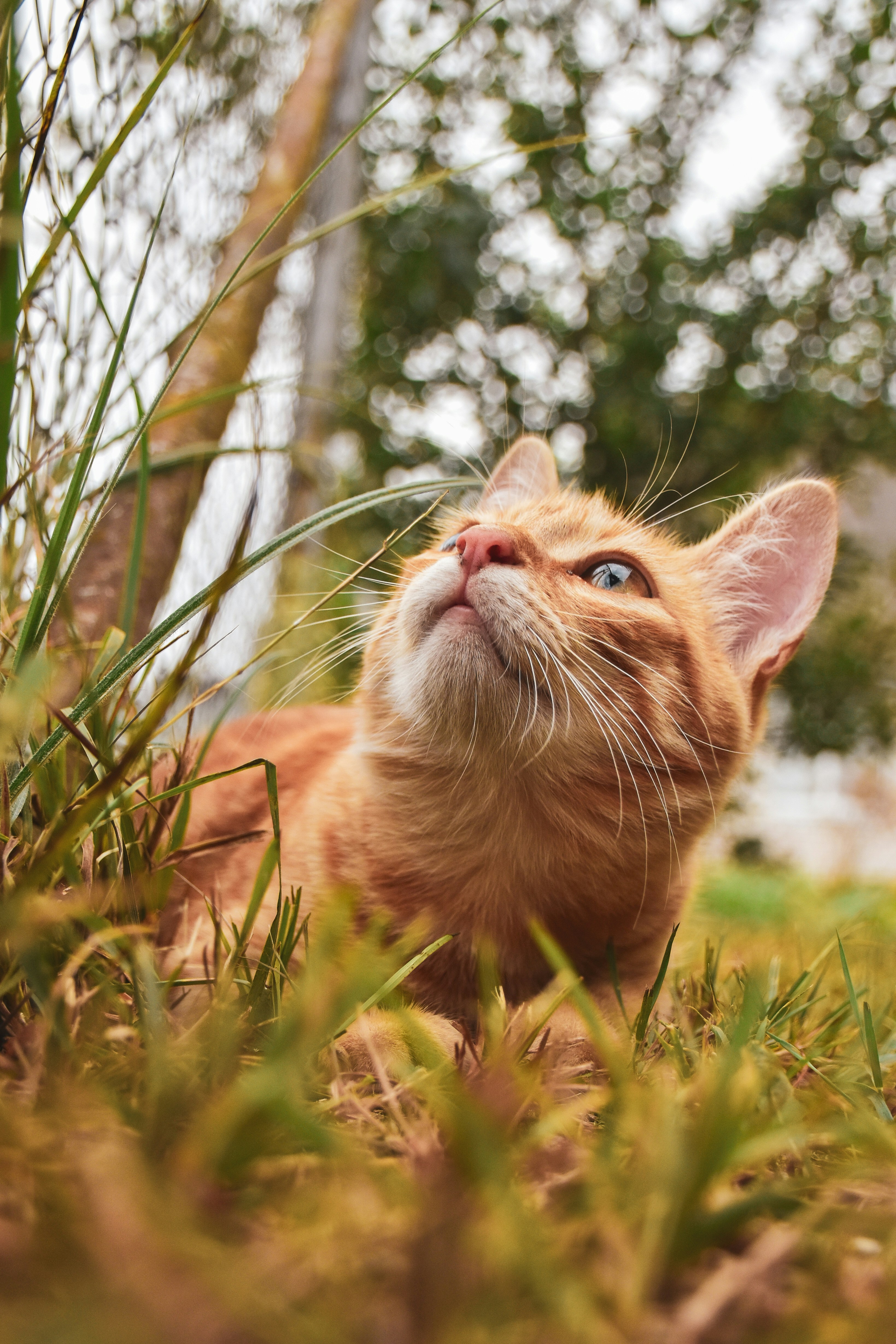 Photo by artem_makarov