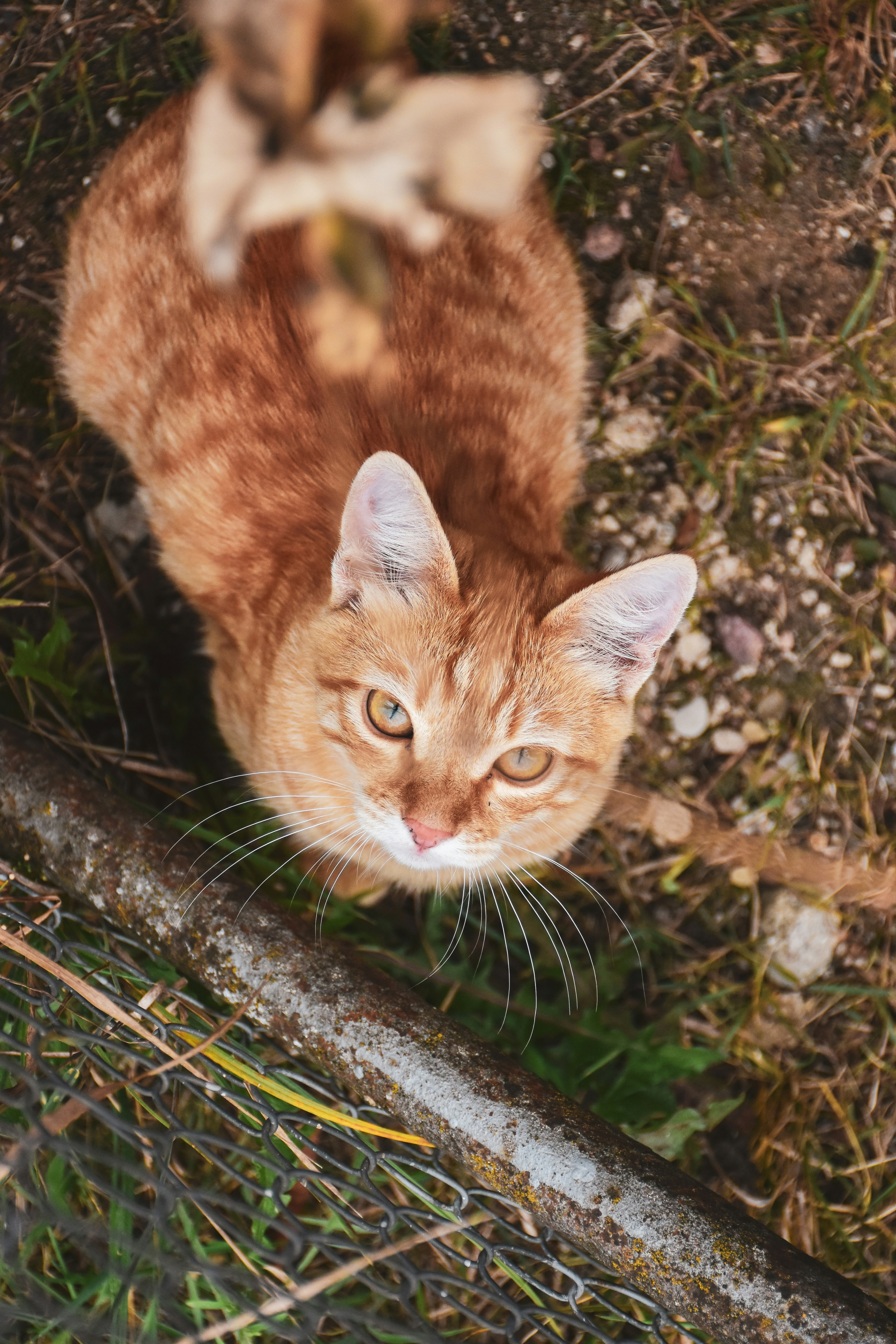 Photo by artem_makarov