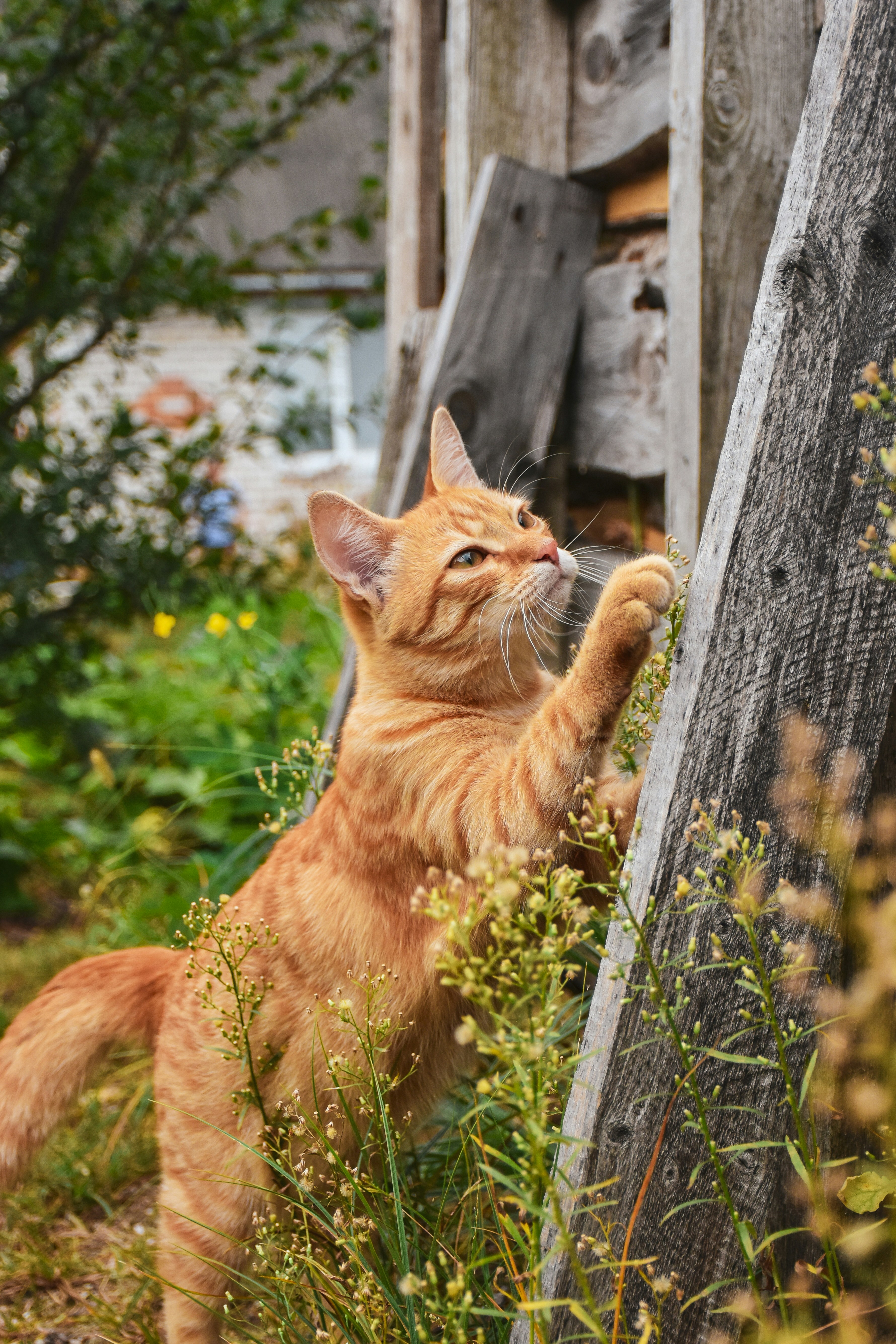 Photo by artem_makarov