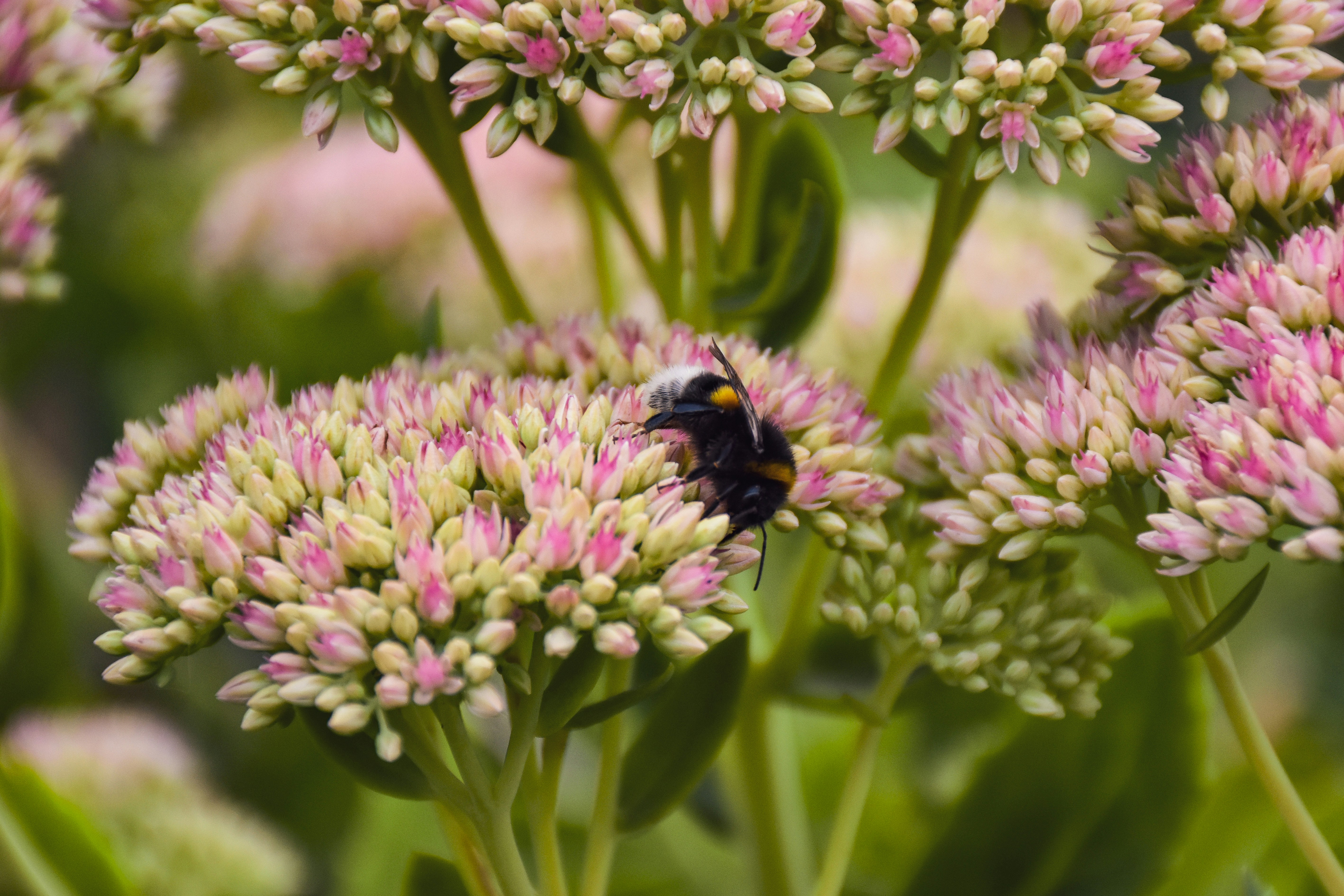 Photo by artem_makarov