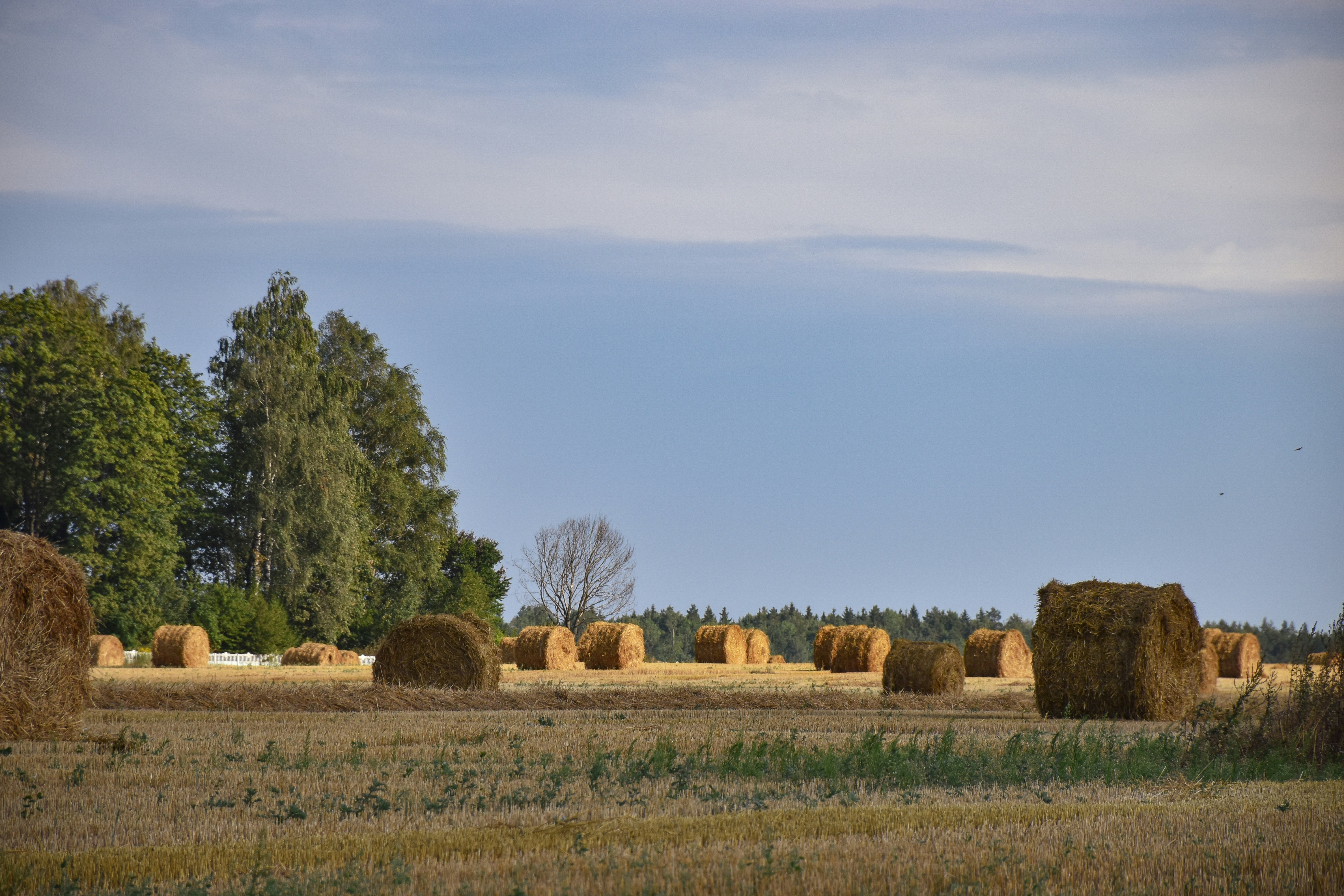 Photo by artem_makarov