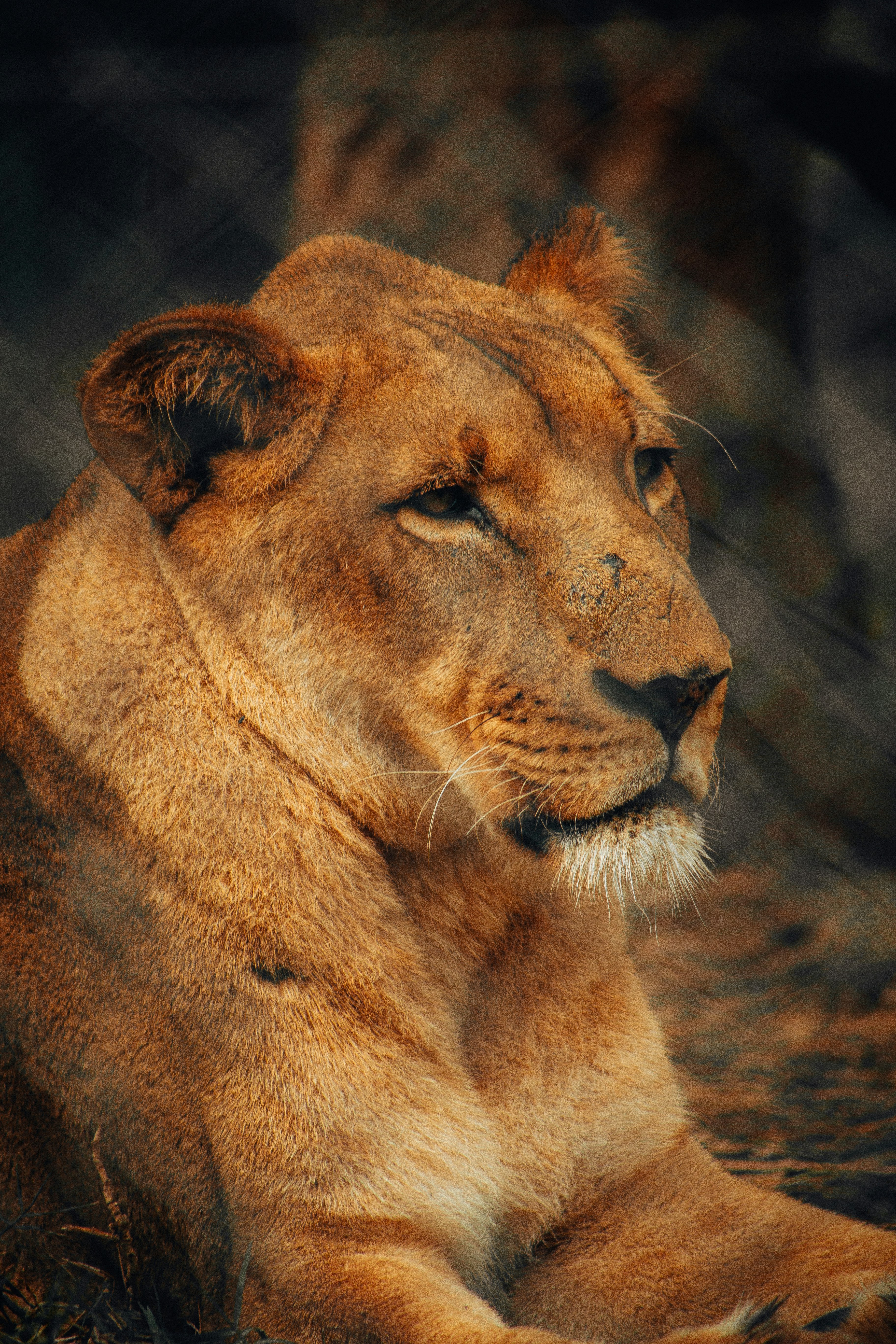 Photo by smithers131