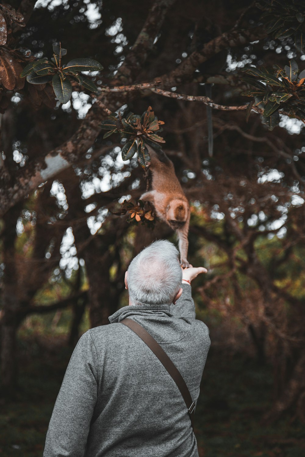 a man holding a squirrel on his back