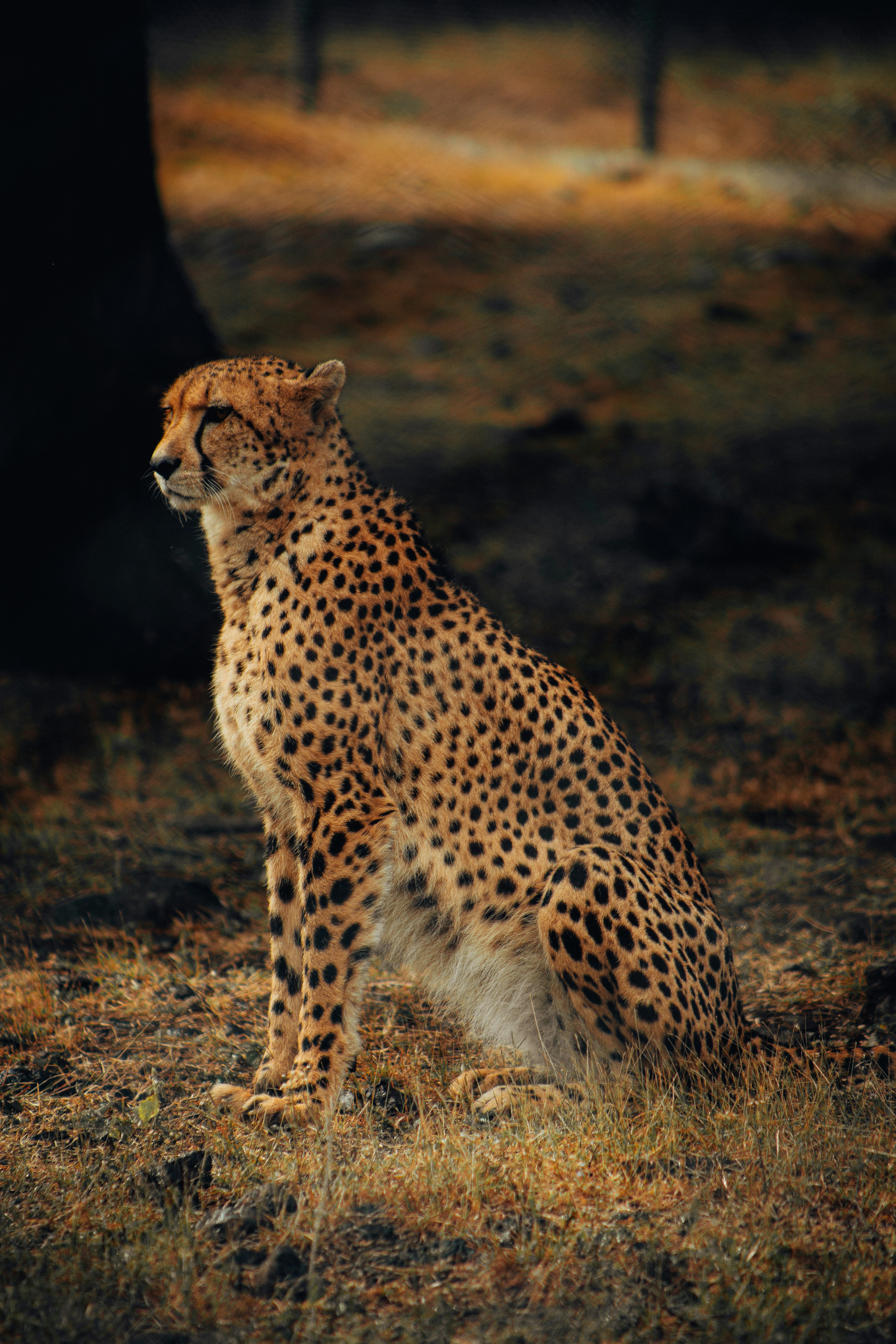 Photo by smithers131