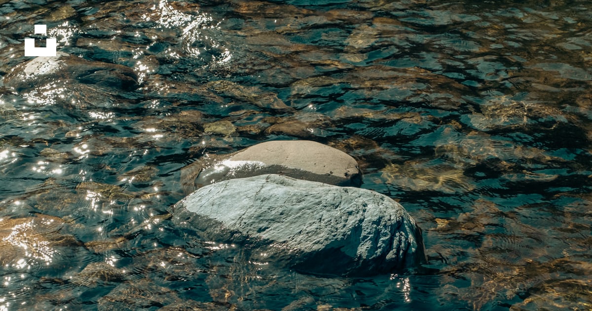 Foto Una roca en el agua – Imagen Río gratis en Unsplash