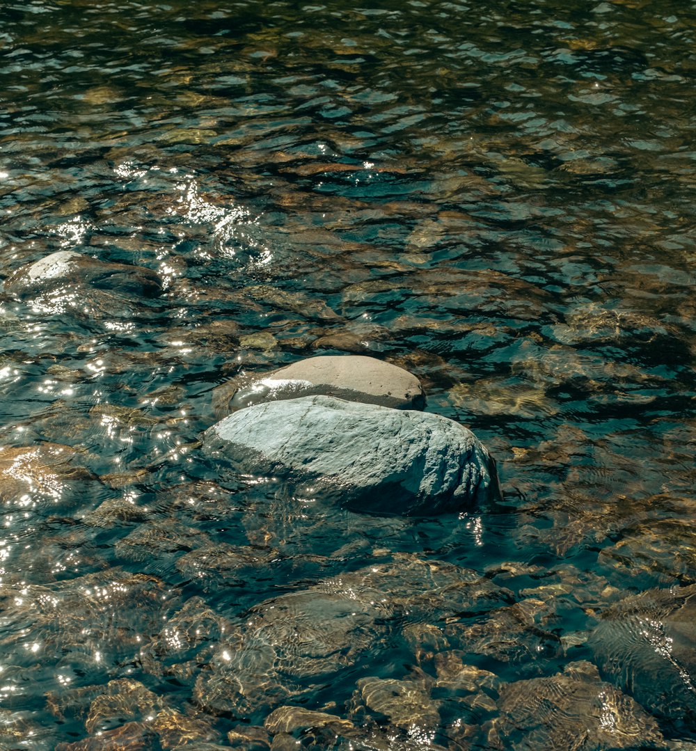 a rock in the water