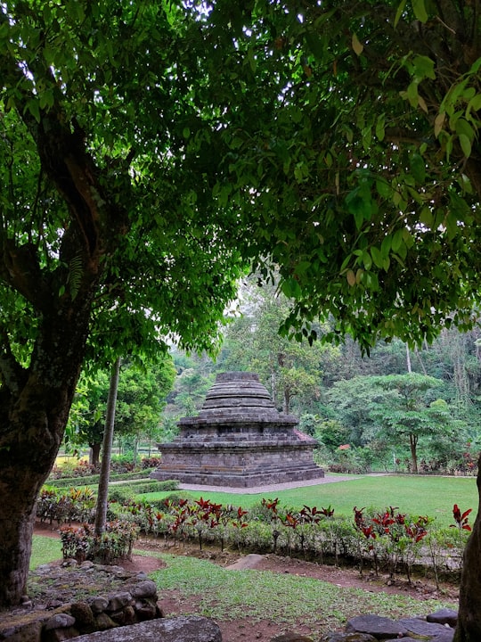 Sumberawan Temple things to do in East Java