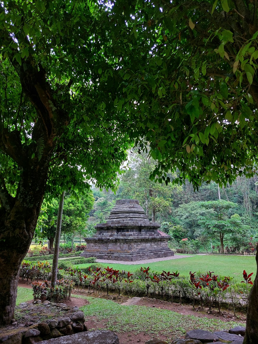 Natural landscape photo spot Candi Sumberawan Mojokerto