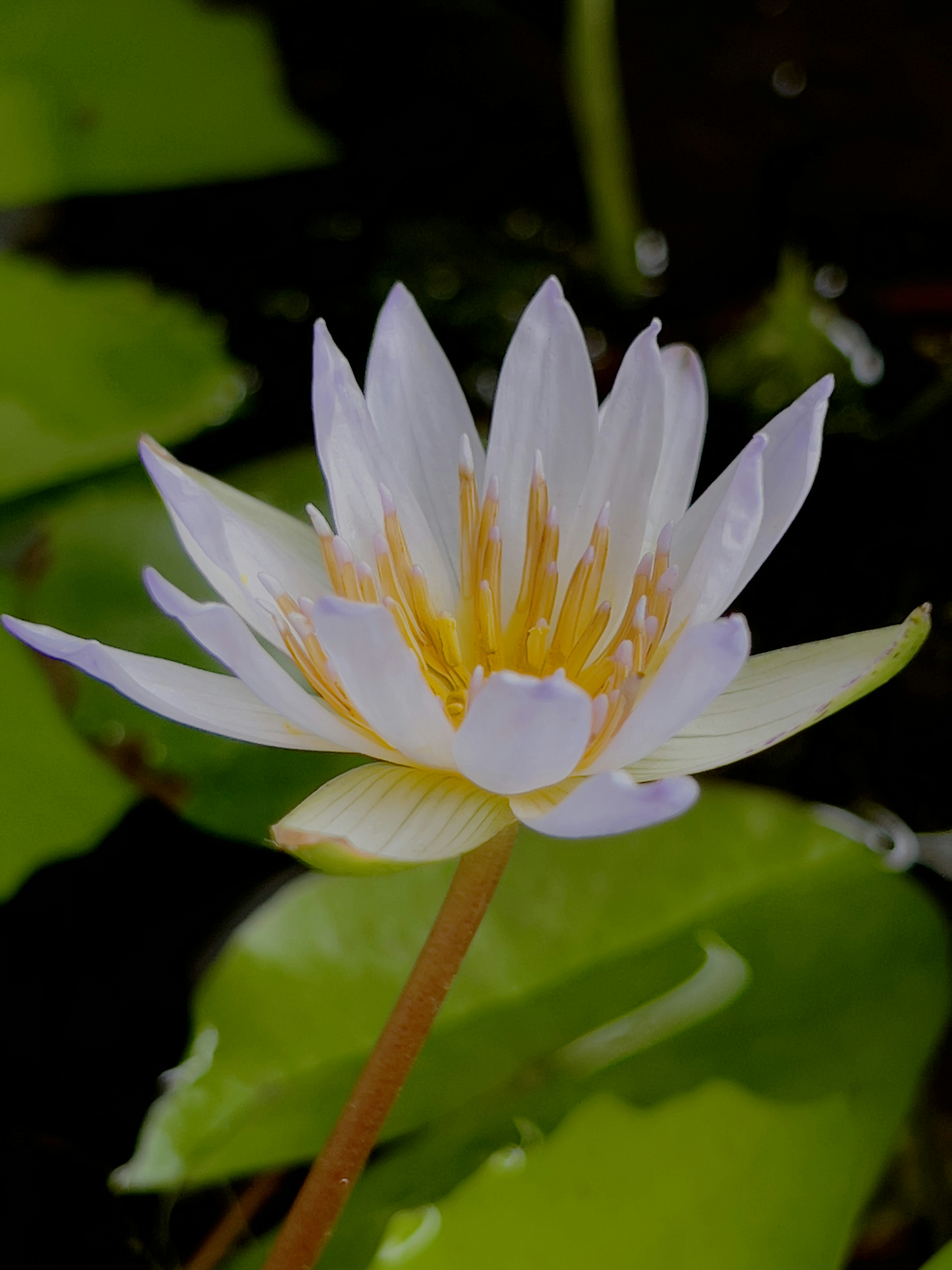 Photo by fahim_jaufer