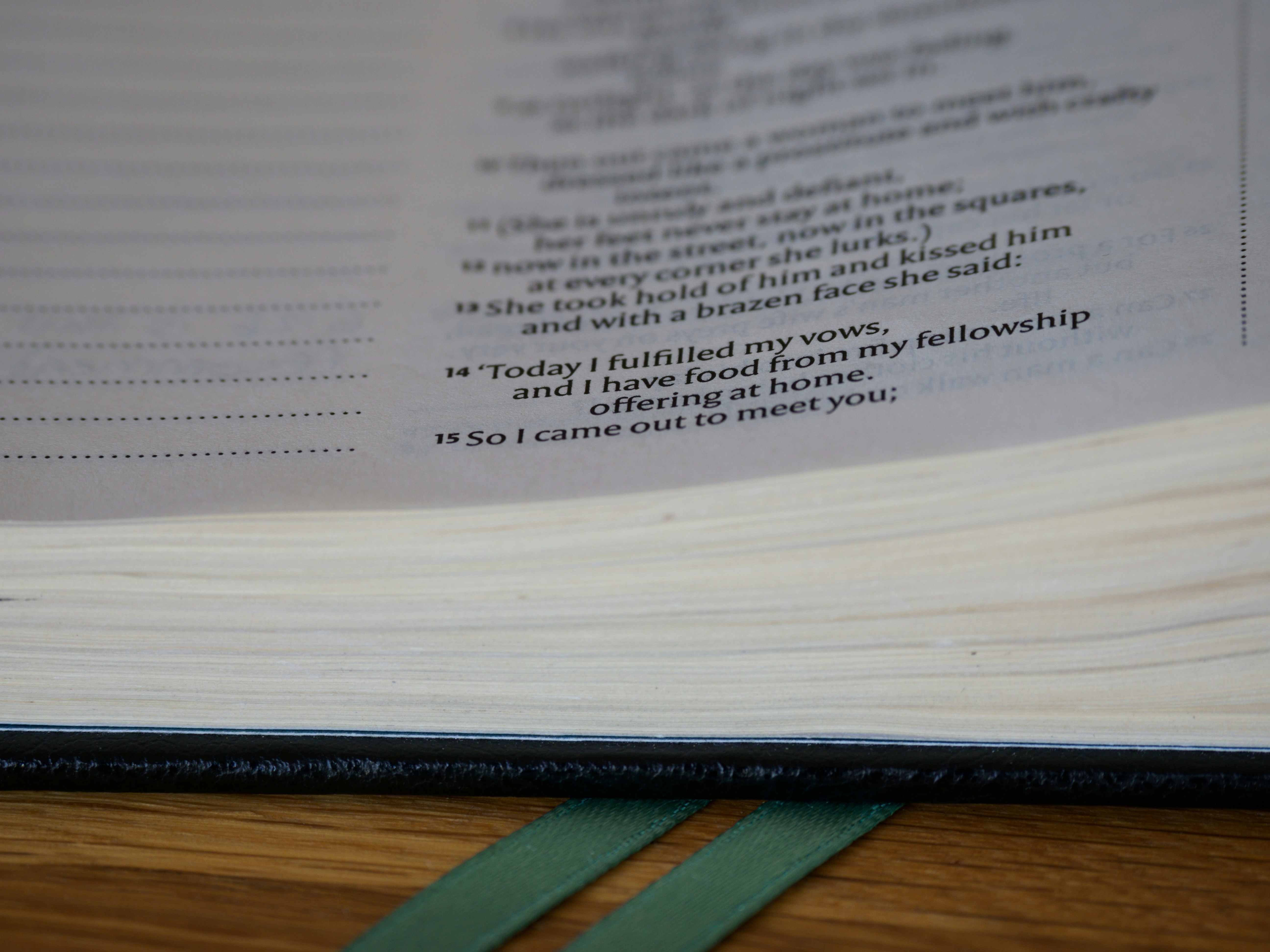 Photo by brett_jordan