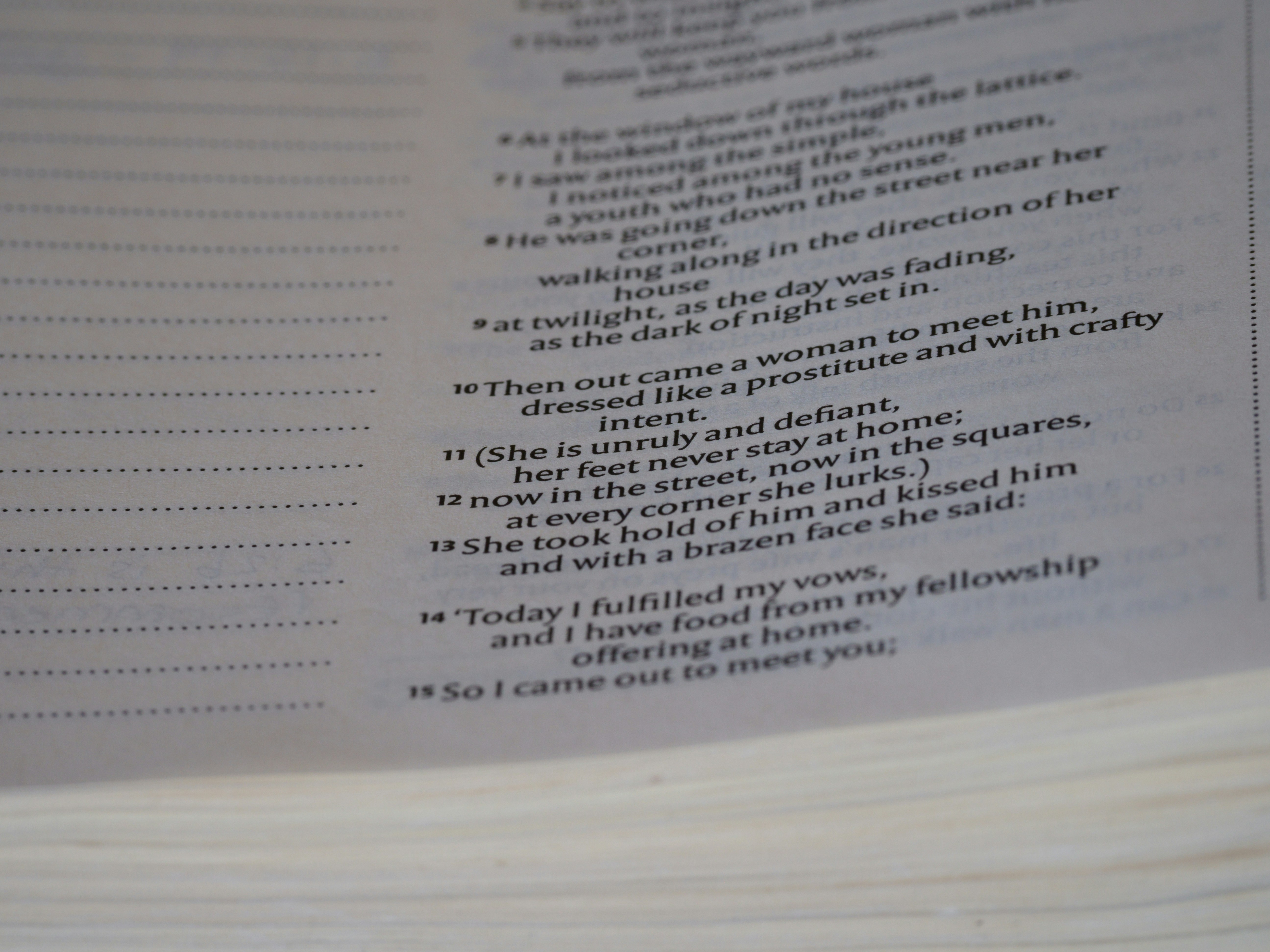 close up, bokeh, macro, blur, blurred background, close focus, bible, old testament, hebrew bible, christian, judaism, history, text, reading, bible study, devotions, text, NIV, New International Version, type, typography, canon, christianity, holy scripture, holy bible, scripture, old testament, hebrew bible, מִשְלֵי, book of proverbs, proverbs of solomon, wisdom literature, ketuvim, anthology, solomon, wisdom, sayings, mashai, folly, values, morality, proverbs, proverb, life skills, ancient wisdom, hebrew wisdom, <br />