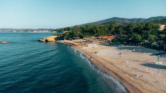A serene beachfront with a stretch of sandy shore and calm blue waters. Pine trees cover the hillside in the background, while beach chairs and umbrellas are scattered across the sand. A small building with a sign reading 'OASIS' is nestled among the trees.