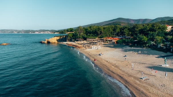 A serene beachfront with a stretch of sandy shore and calm blue waters. Pine trees cover the hillside in the background, while beach chairs and umbrellas are scattered across the sand. A small building with a sign reading 'OASIS' is nestled among the trees.