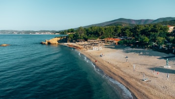 A serene beachfront with a stretch of sandy shore and calm blue waters. Pine trees cover the hillside in the background, while beach chairs and umbrellas are scattered across the sand. A small building with a sign reading 'OASIS' is nestled among the trees.