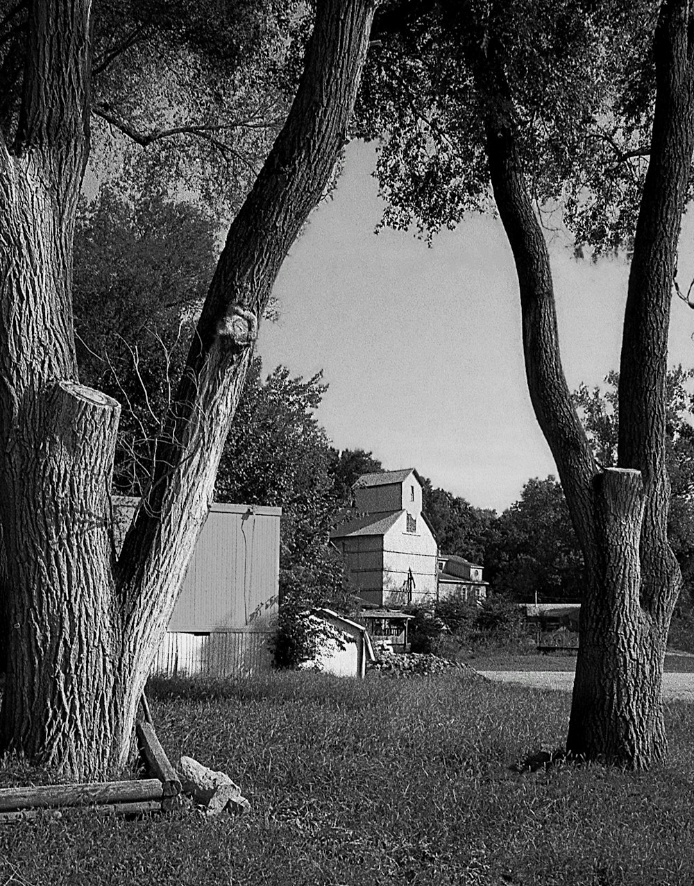 a house with trees around it