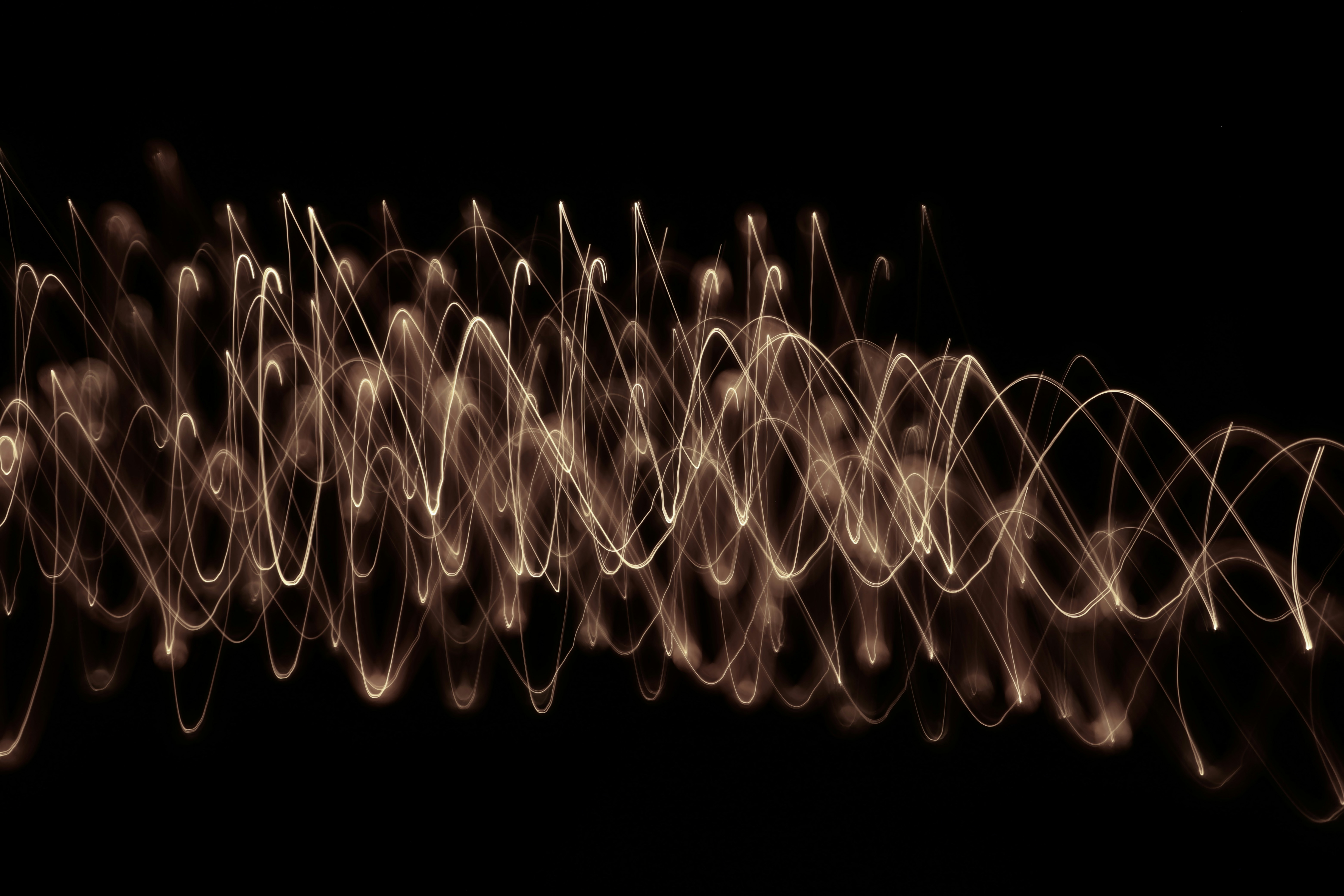 Un primer plano de una tela de araña