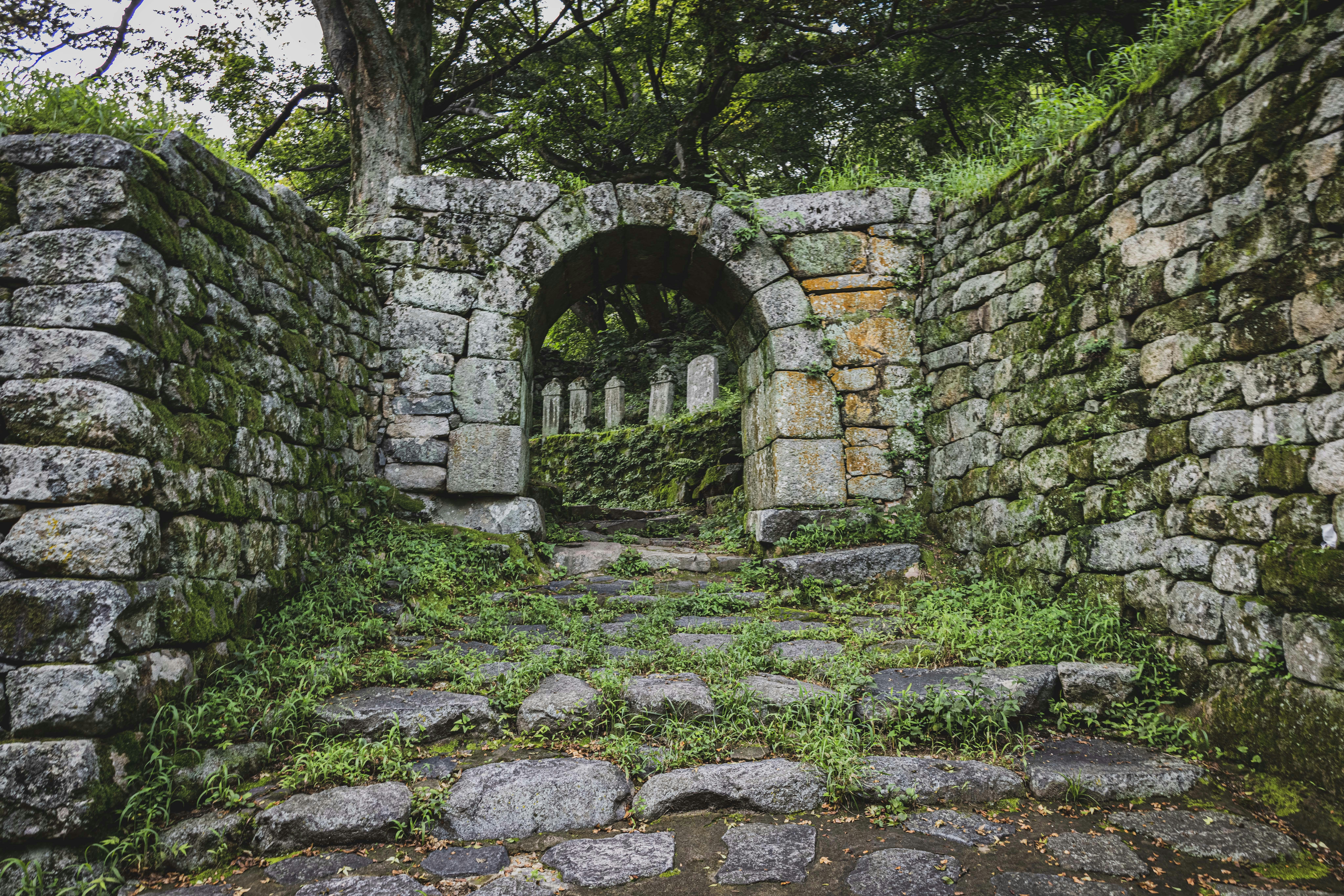 Photo by photosofkorea