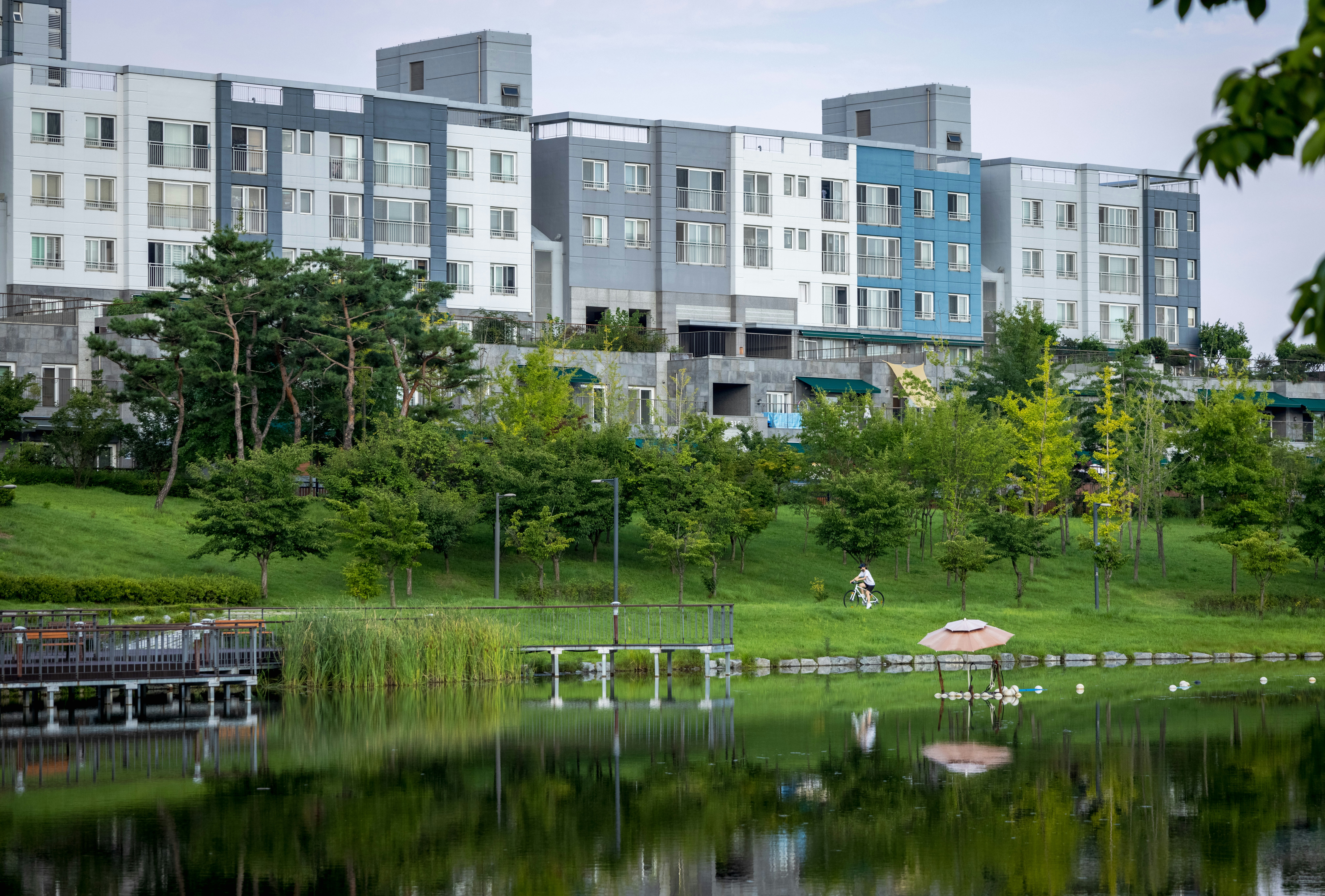 Photo by photosofkorea