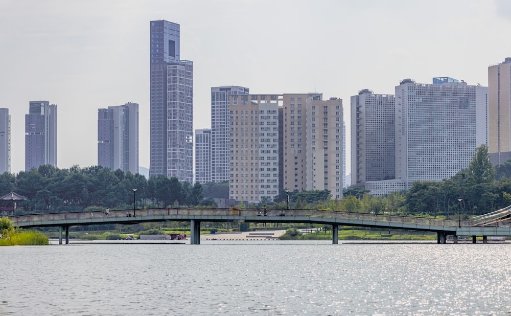 a bridge over a river with a city in the background