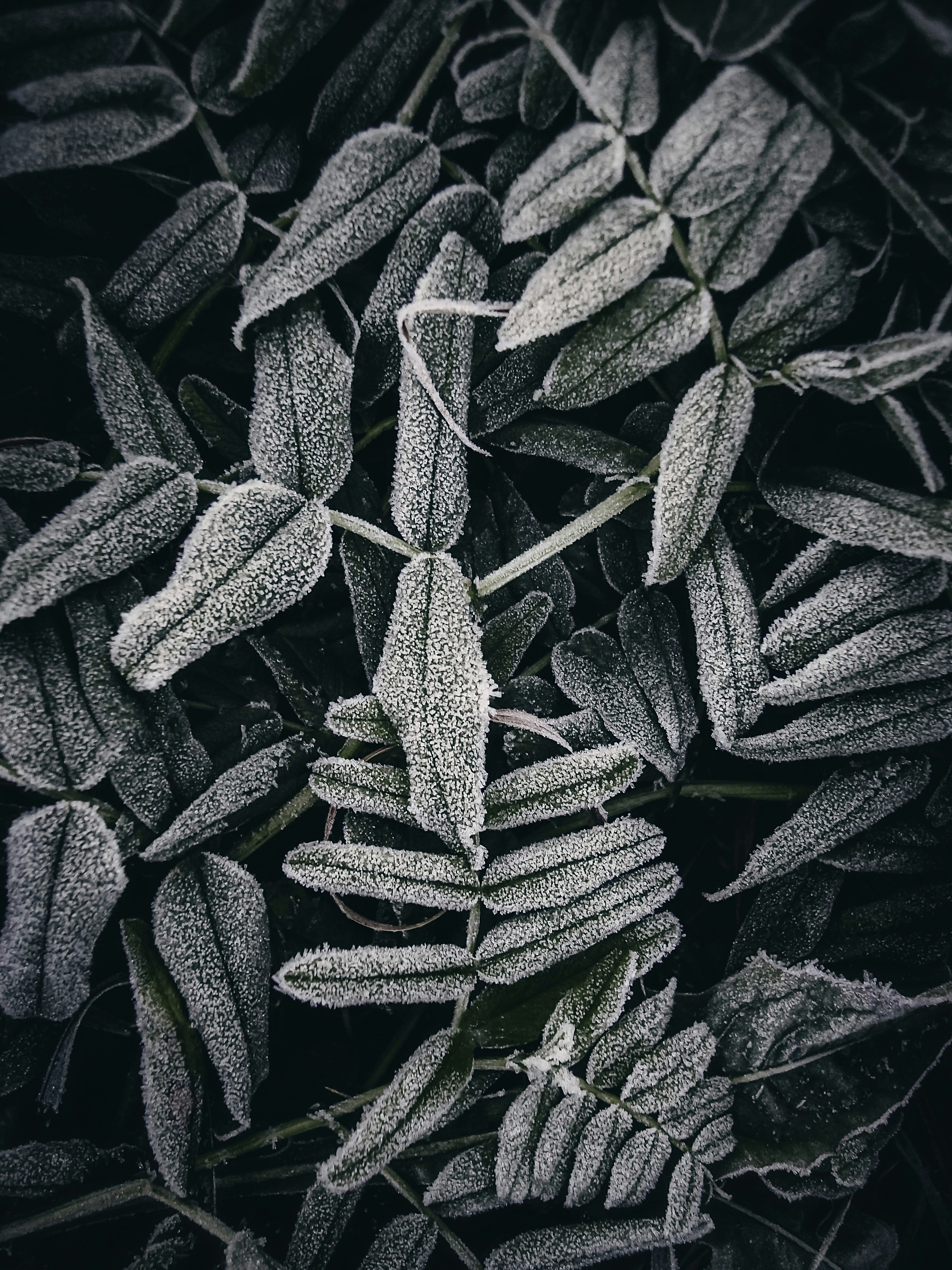 Photo by eugene_golovesov