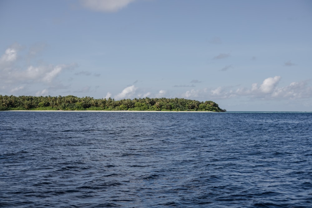 a body of water with trees in the background