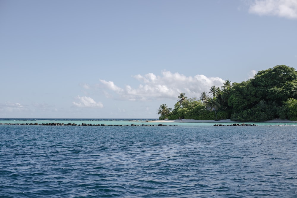 a body of water with trees on the side