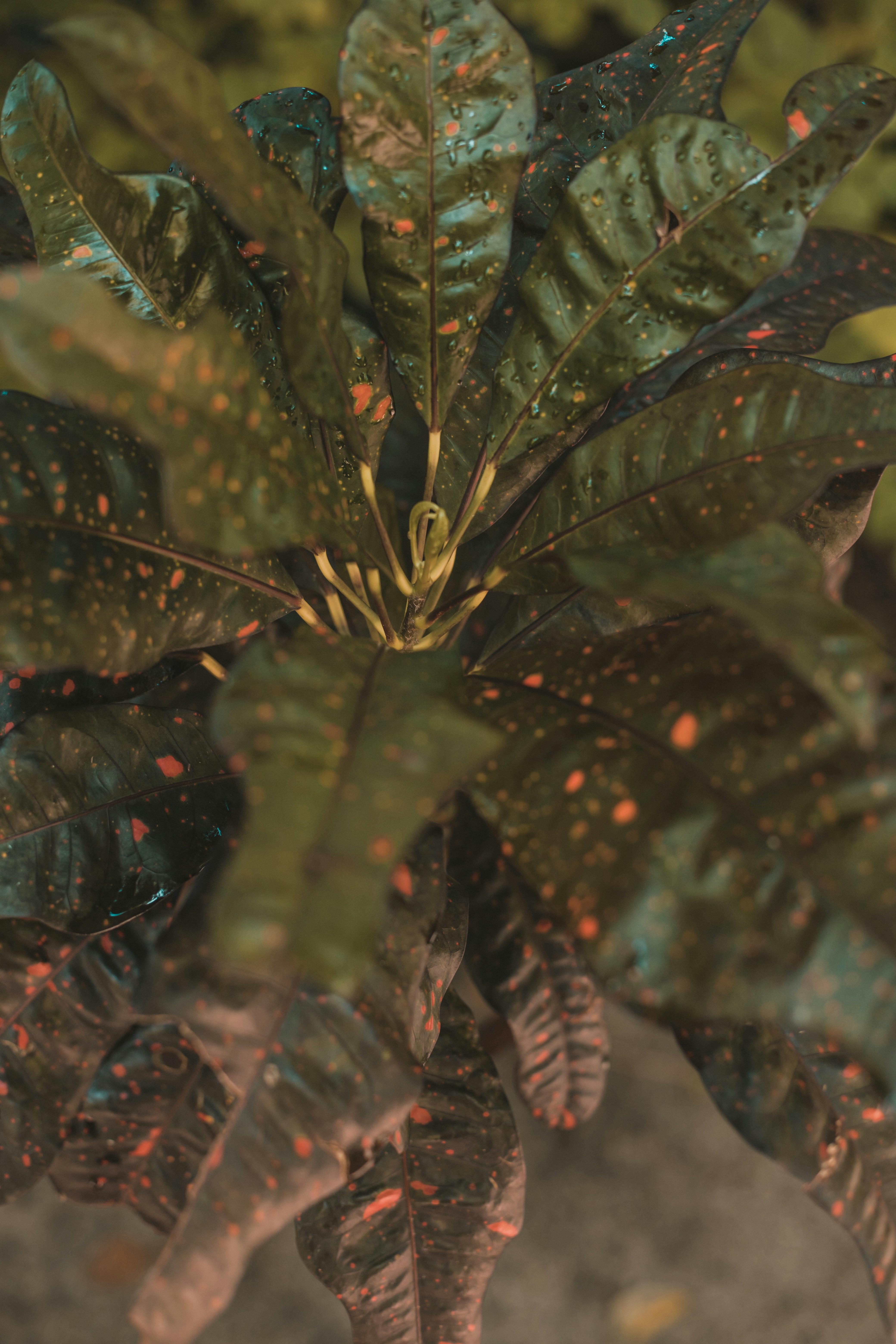 Photo by adrianjuracek