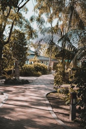 a brick walkway with palm trees and a building in the background