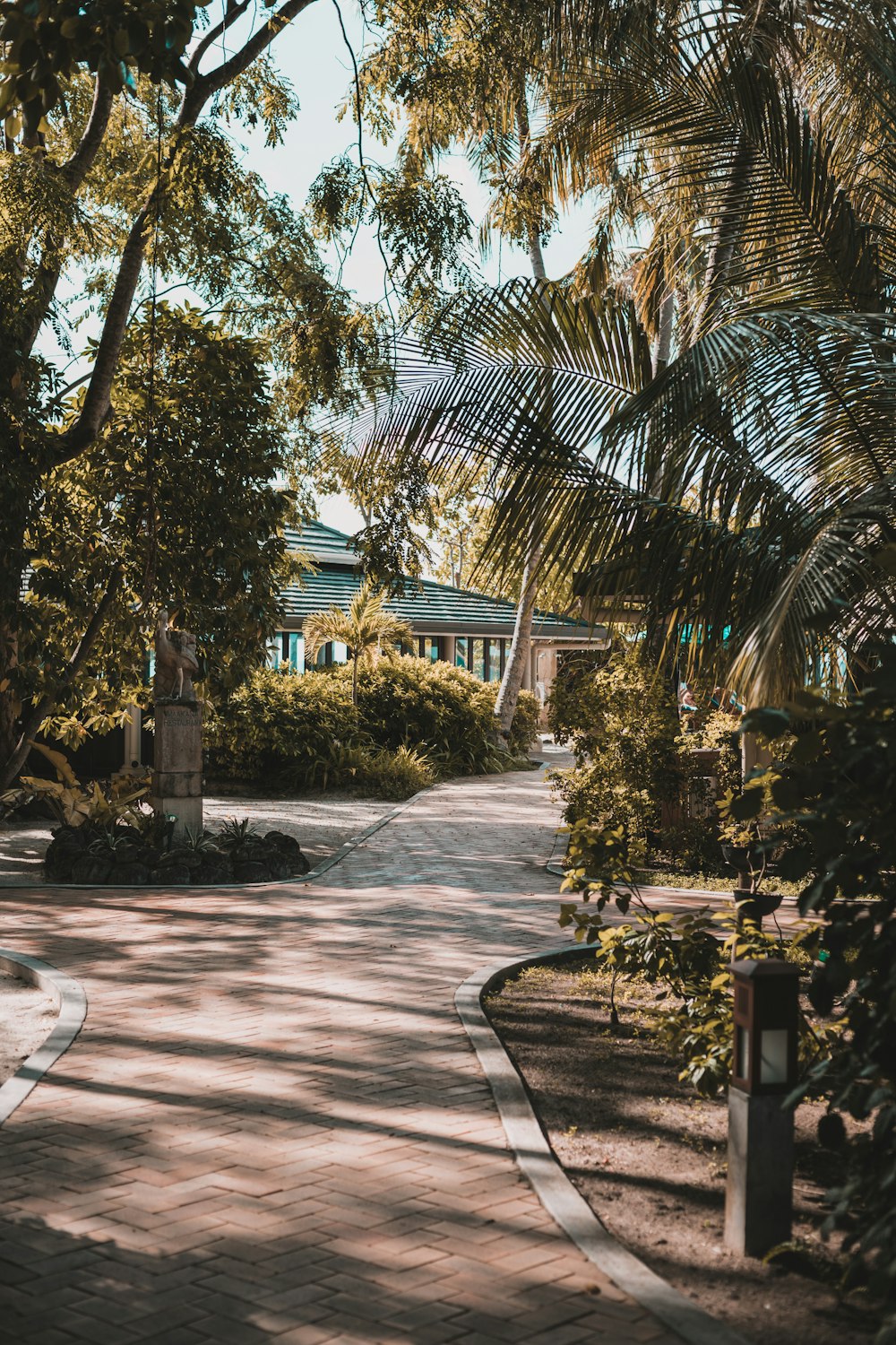 a brick walkway with palm trees and a building in the background