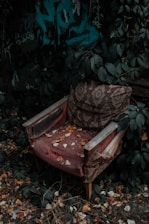 a bench sits unoccupied
