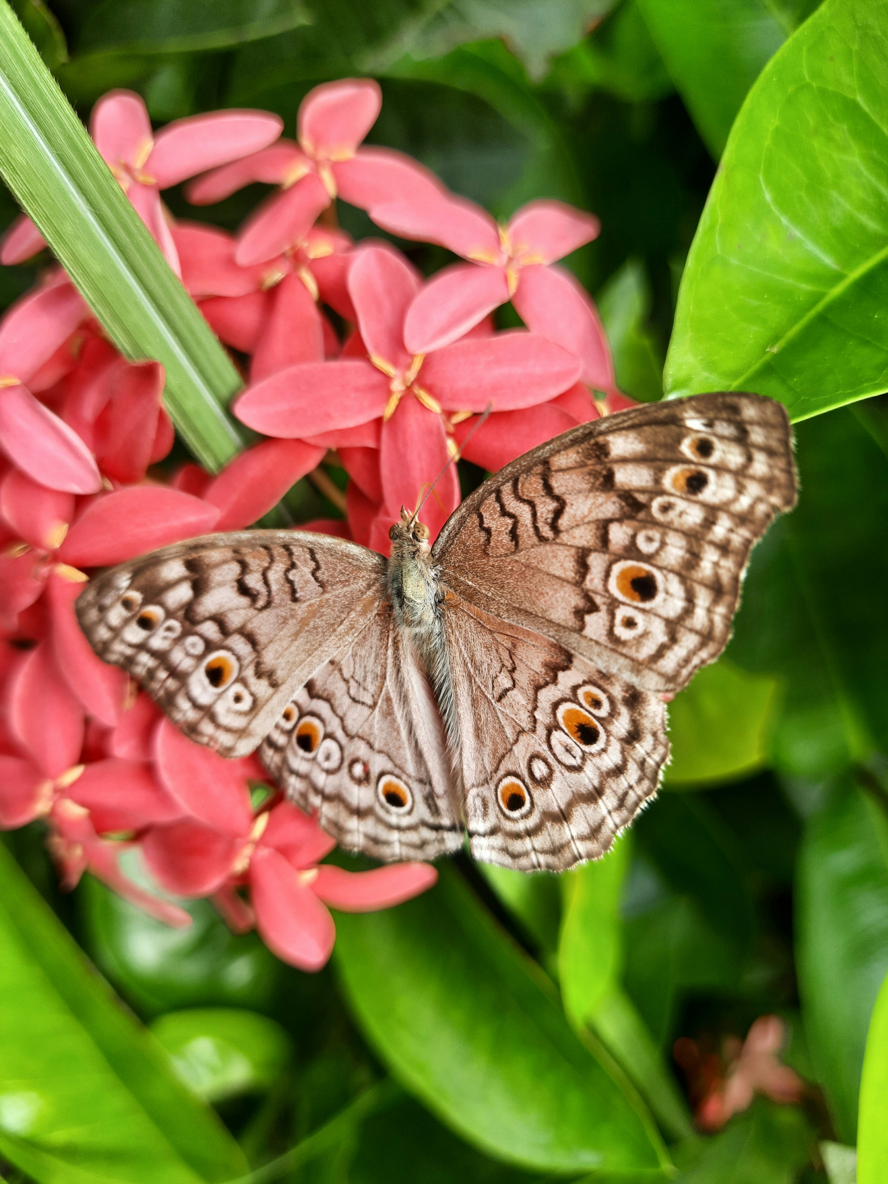 Photo by shutters_flutter