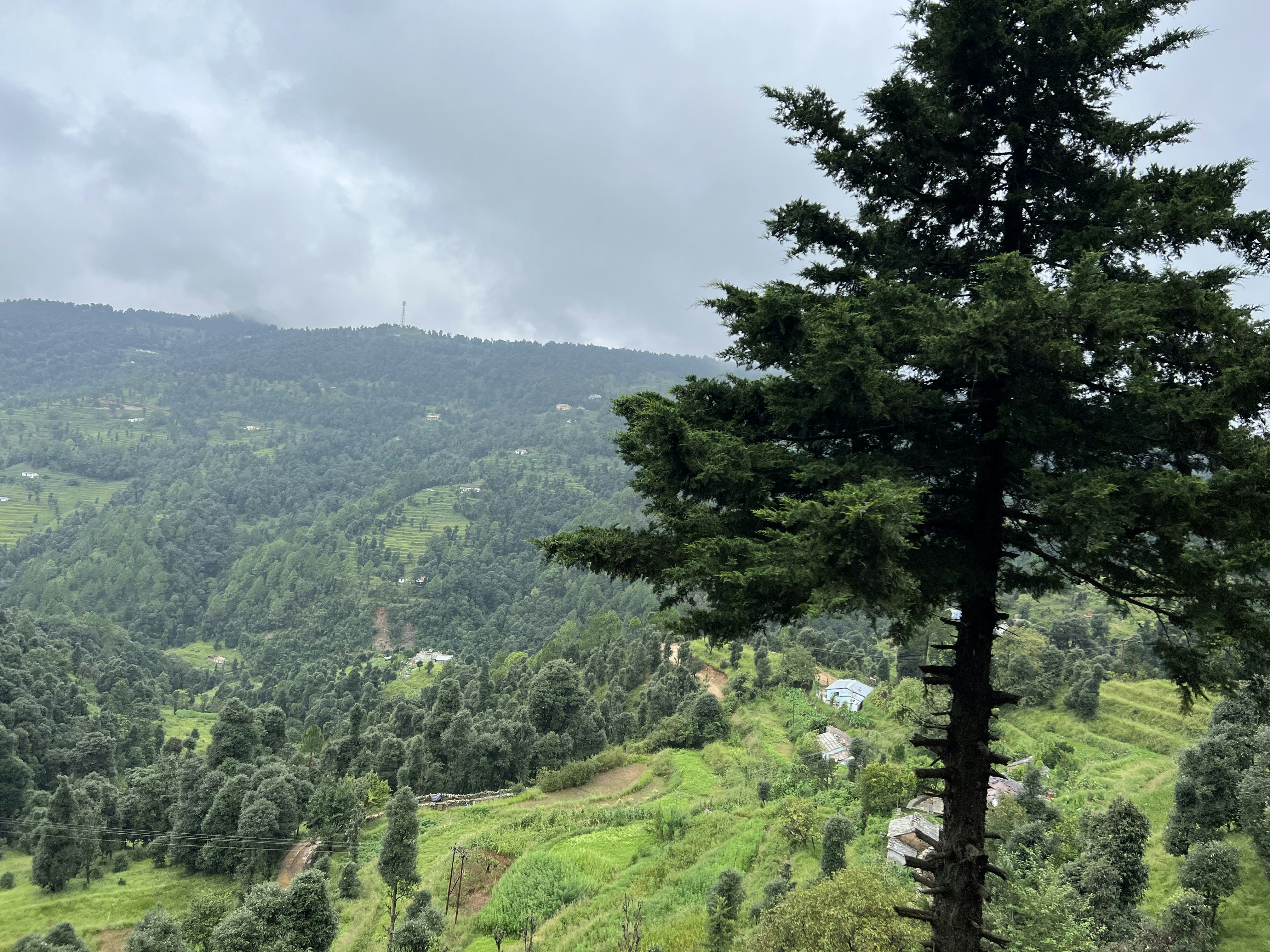 Photo by kumarjaydeep633