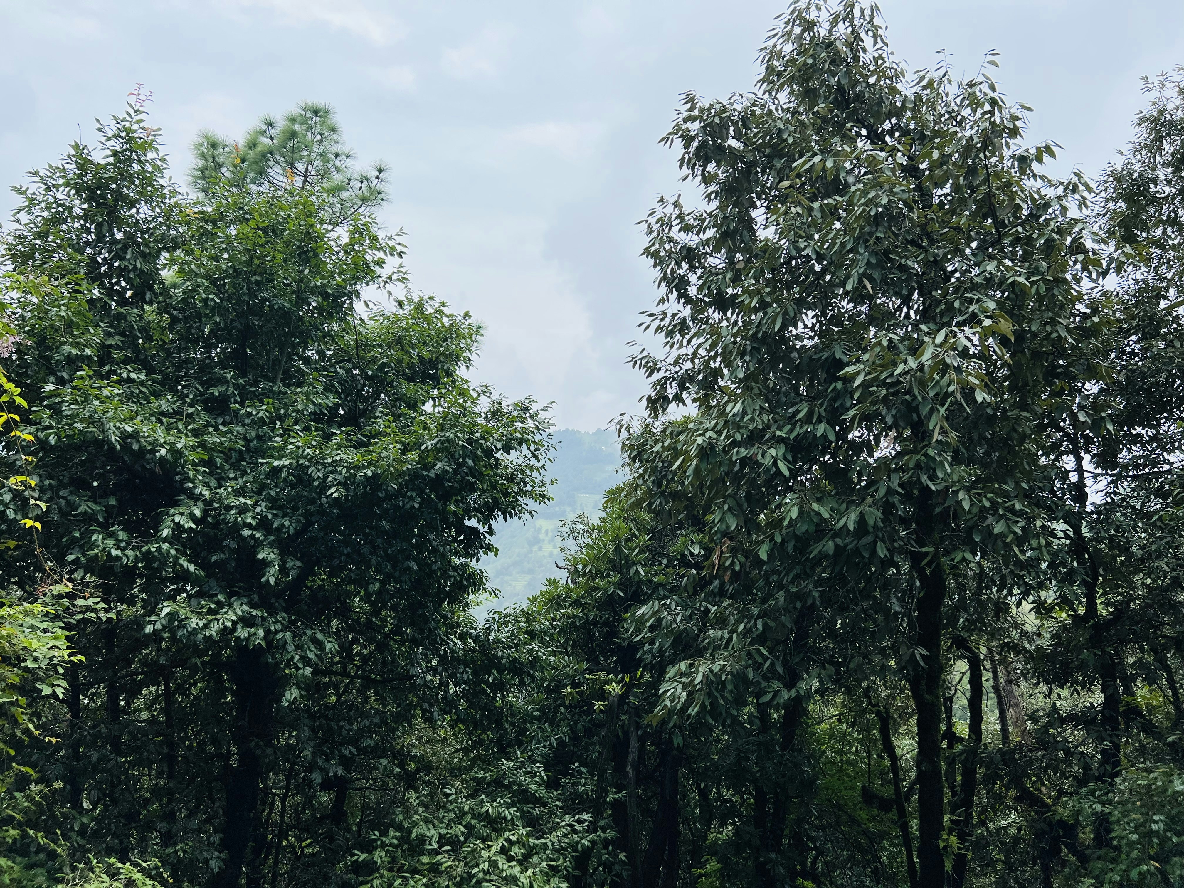 Photo by kumarjaydeep633