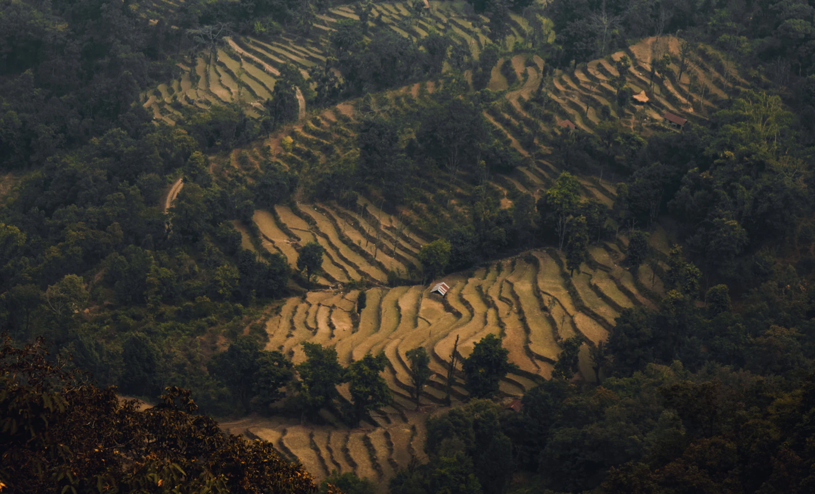 Pokhara travel guide