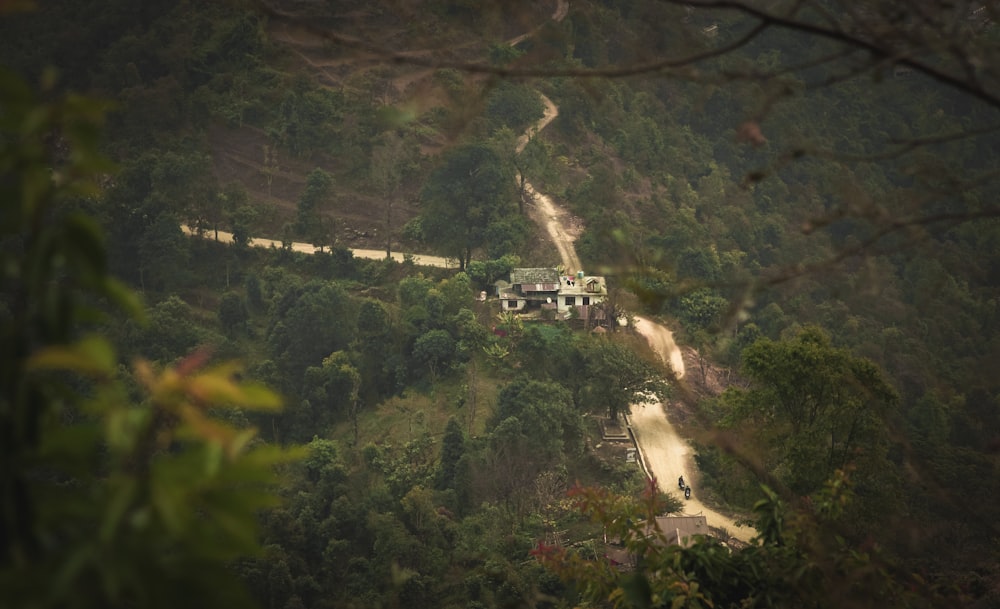 a building in the middle of a forest