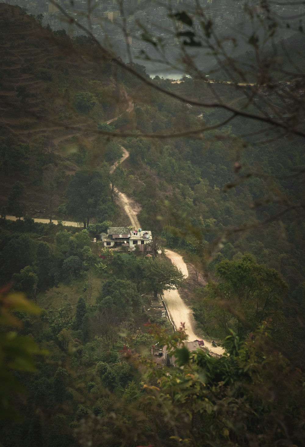 a building in the middle of a forest