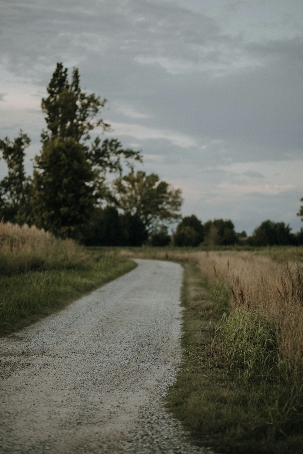 a dirt road with trees on either side of it