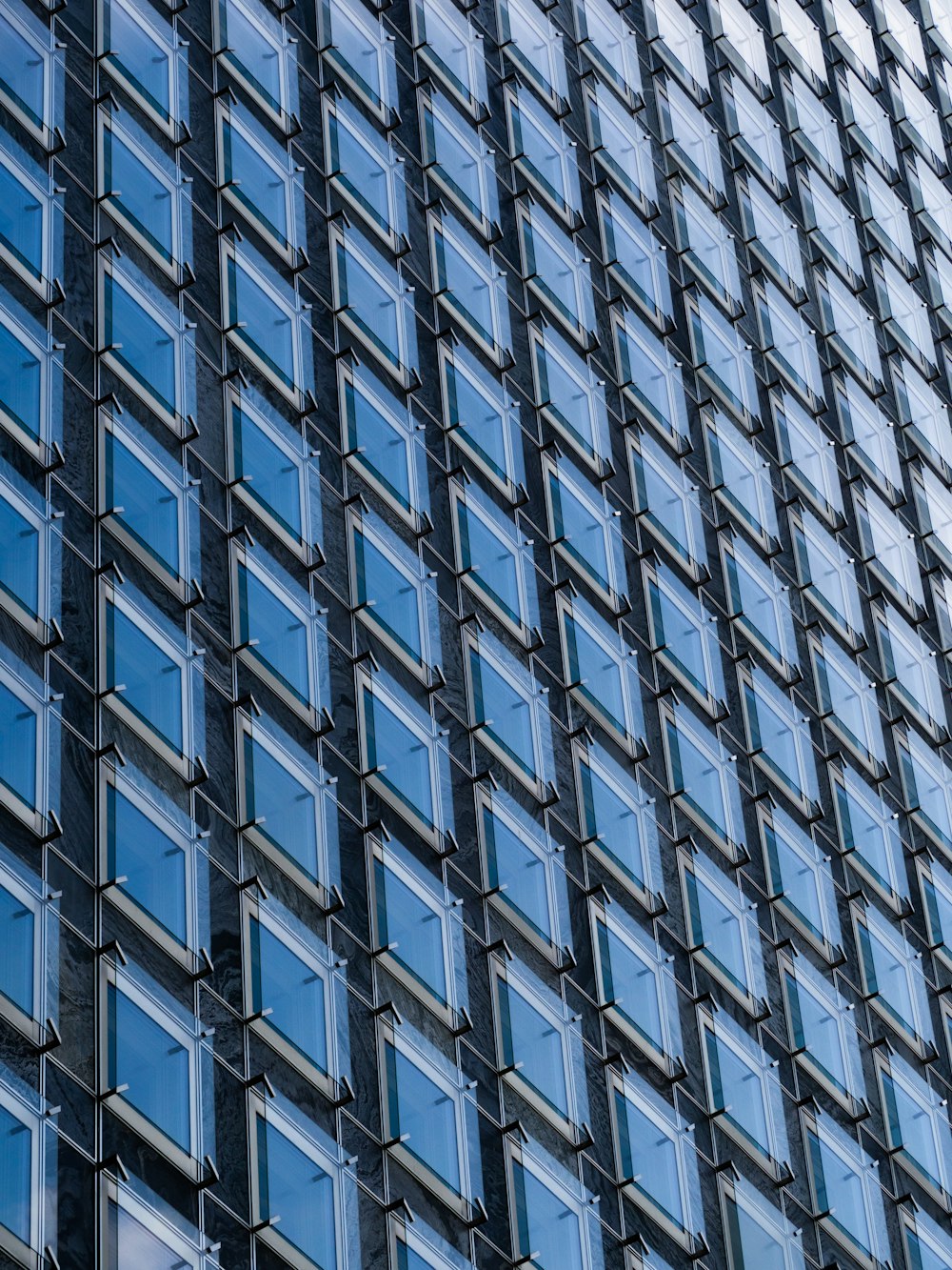 a building with many windows