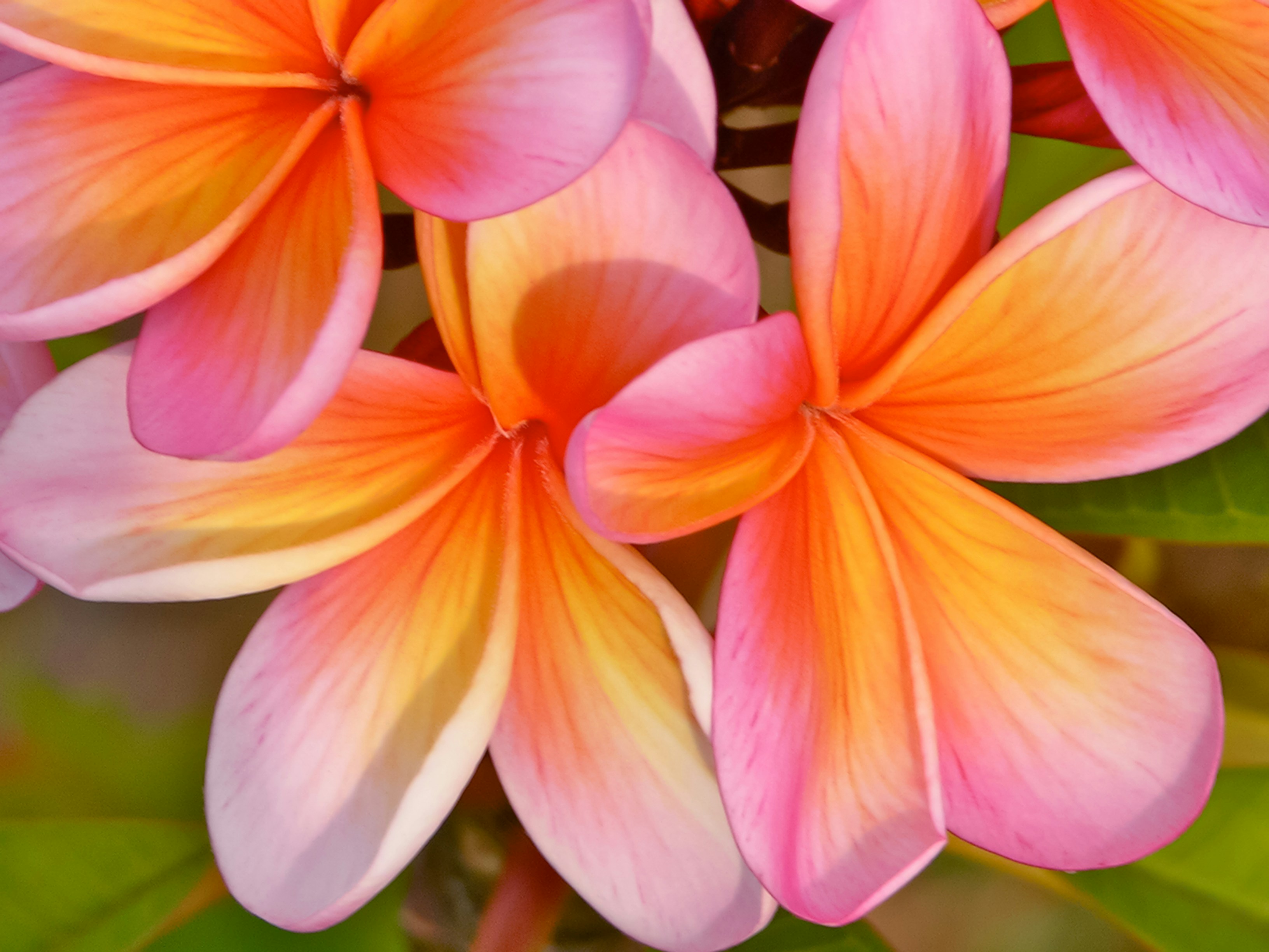 Photo by debbieducic