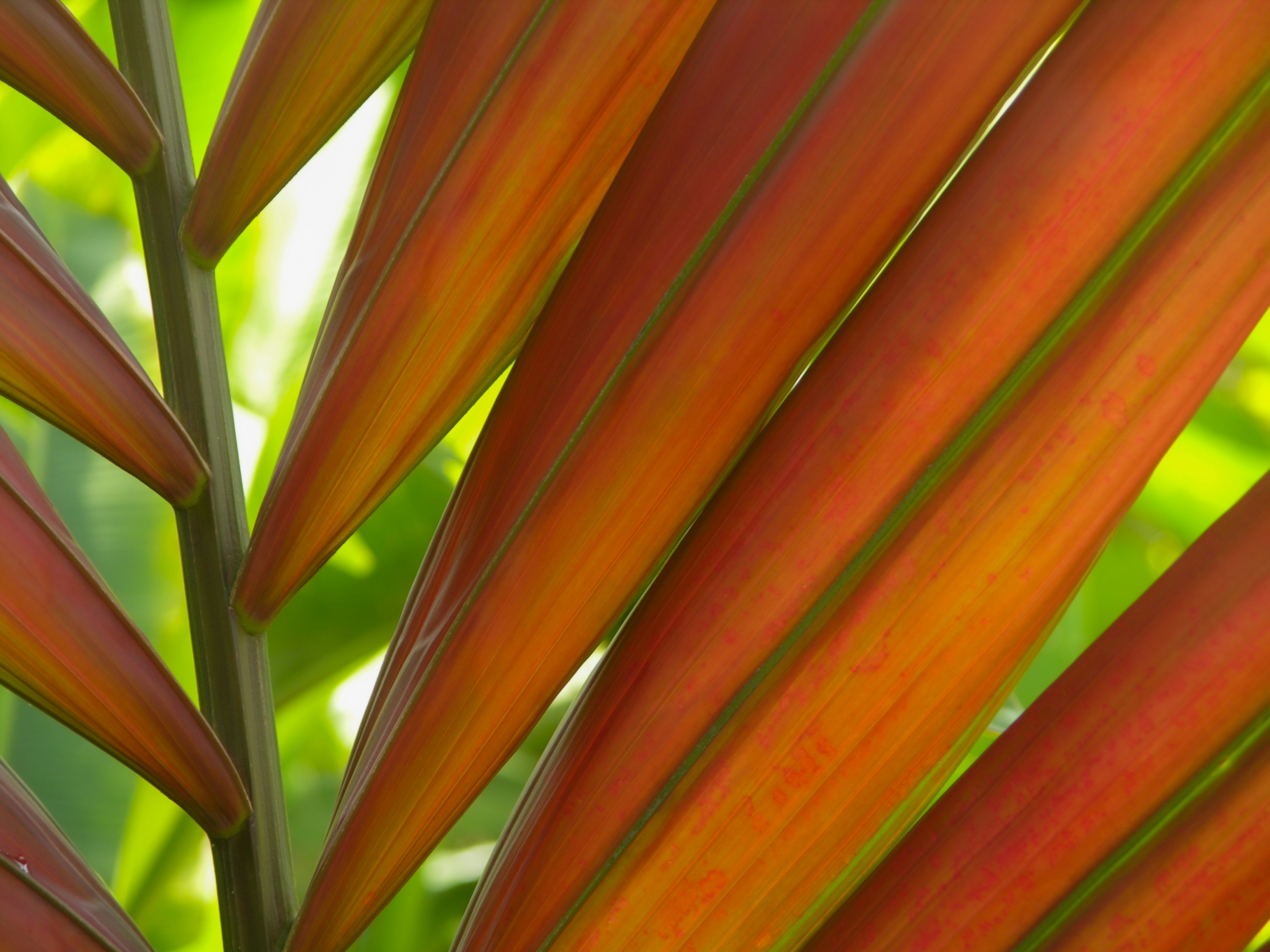 Photo by debbieducic