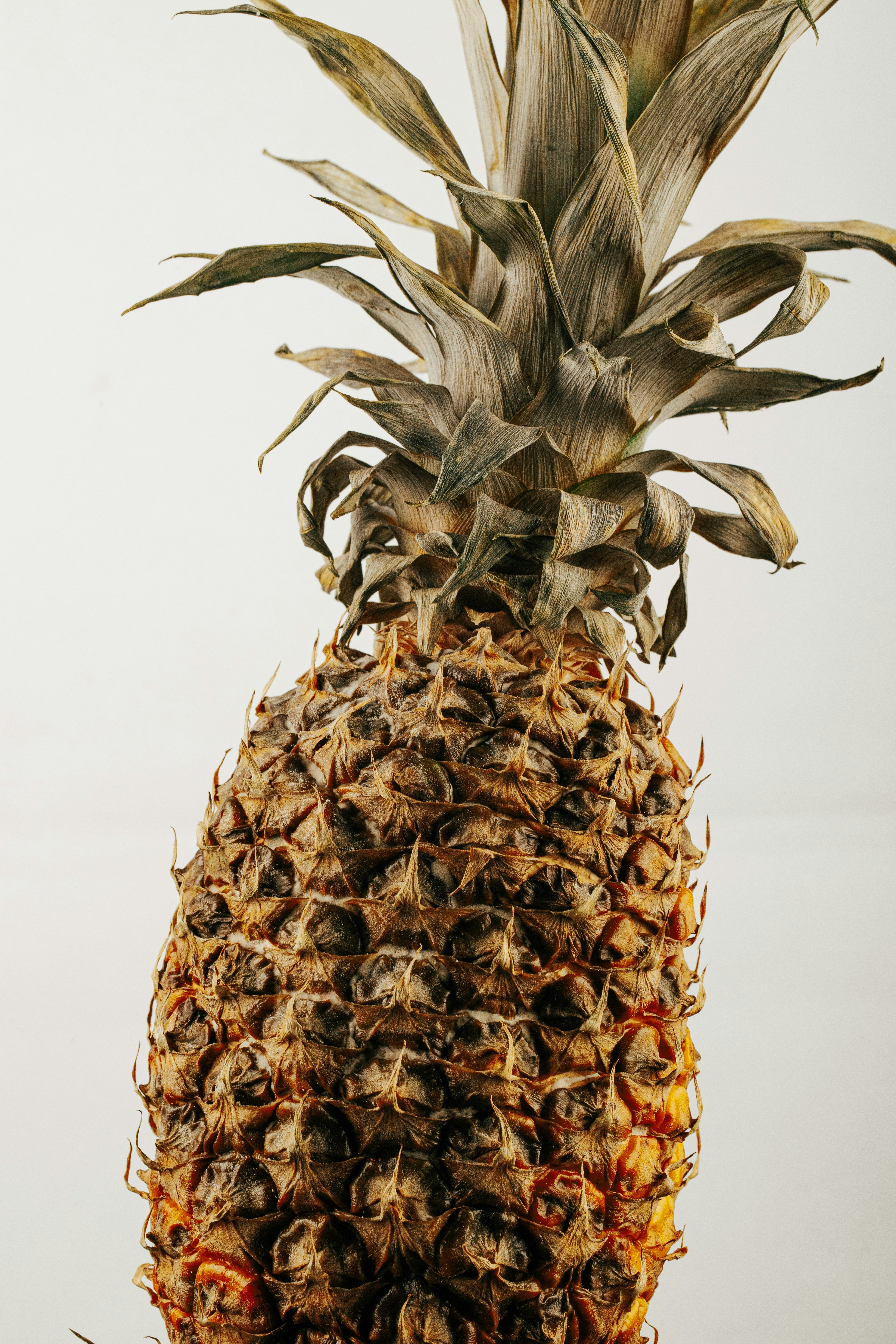 a pineapple with a large pineapple on it